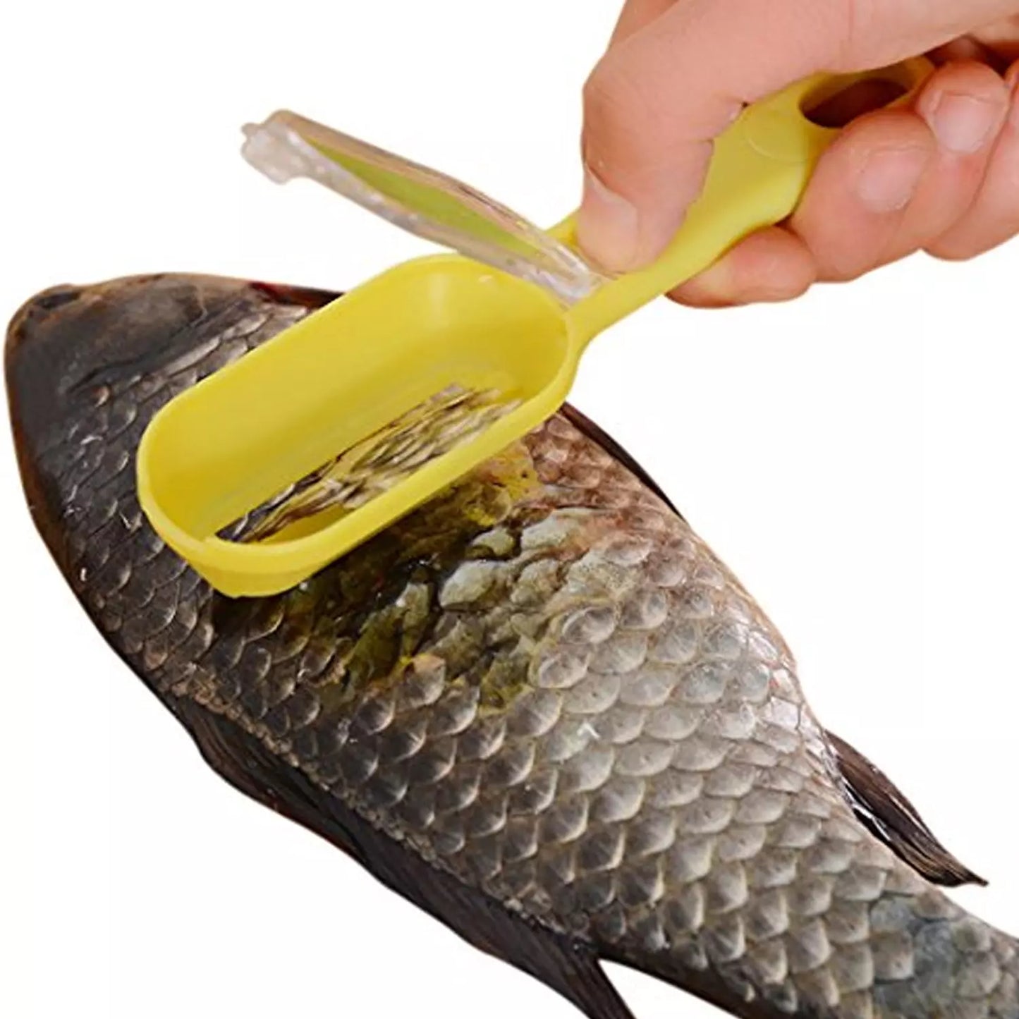 Fish scale scraper with yellow handle and metal scraping blade