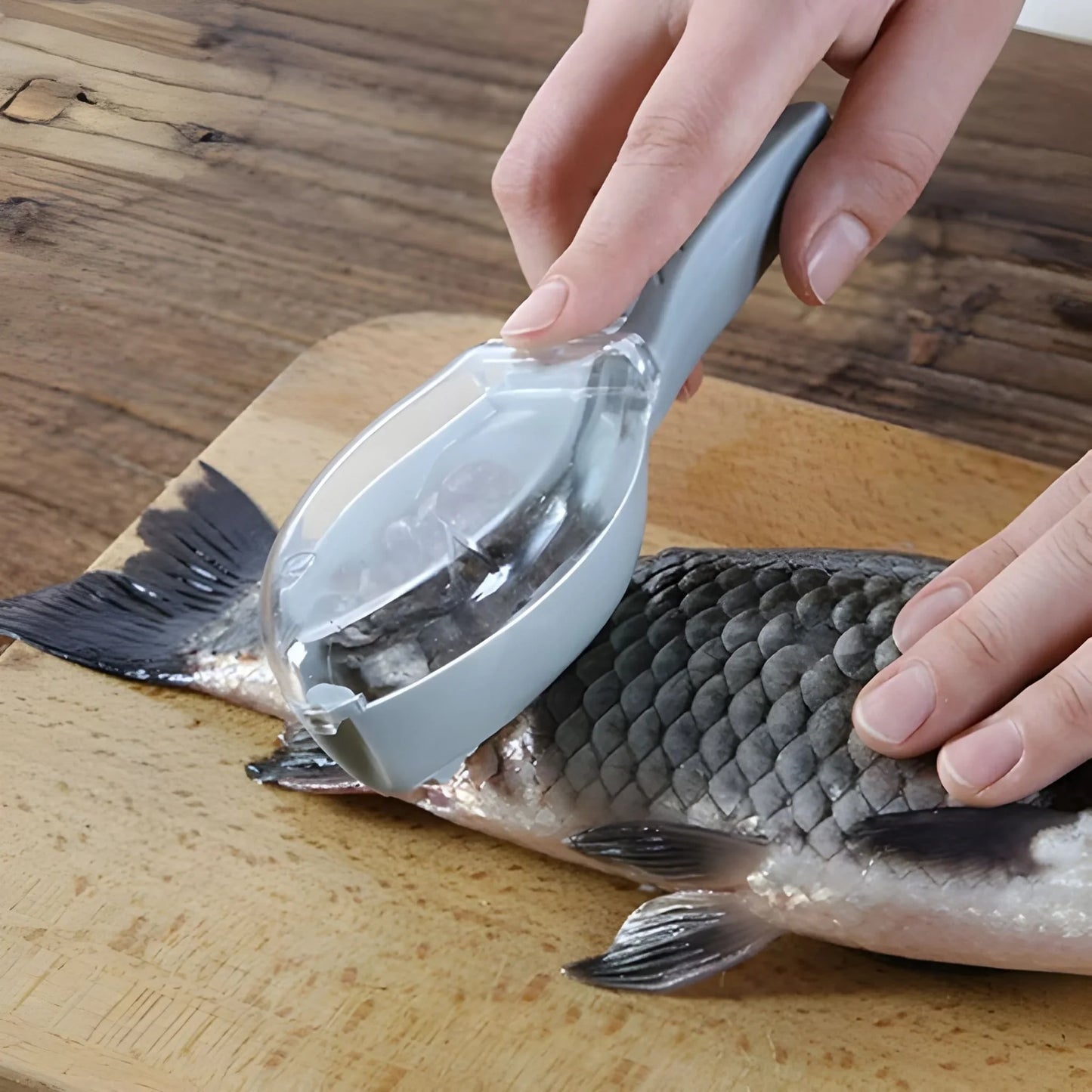 Fish scale scraper peeler with curved blade held on a fish for cleaning scales