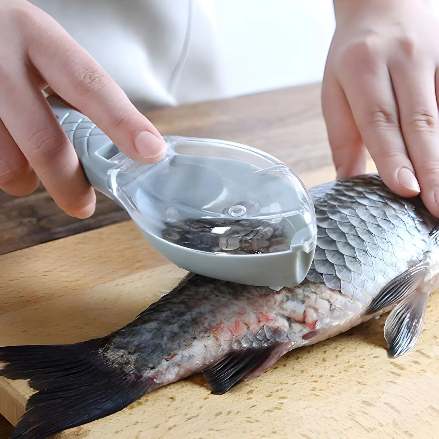 Fish scale scraper skin peeler tool with hand grip, scraping fish scales