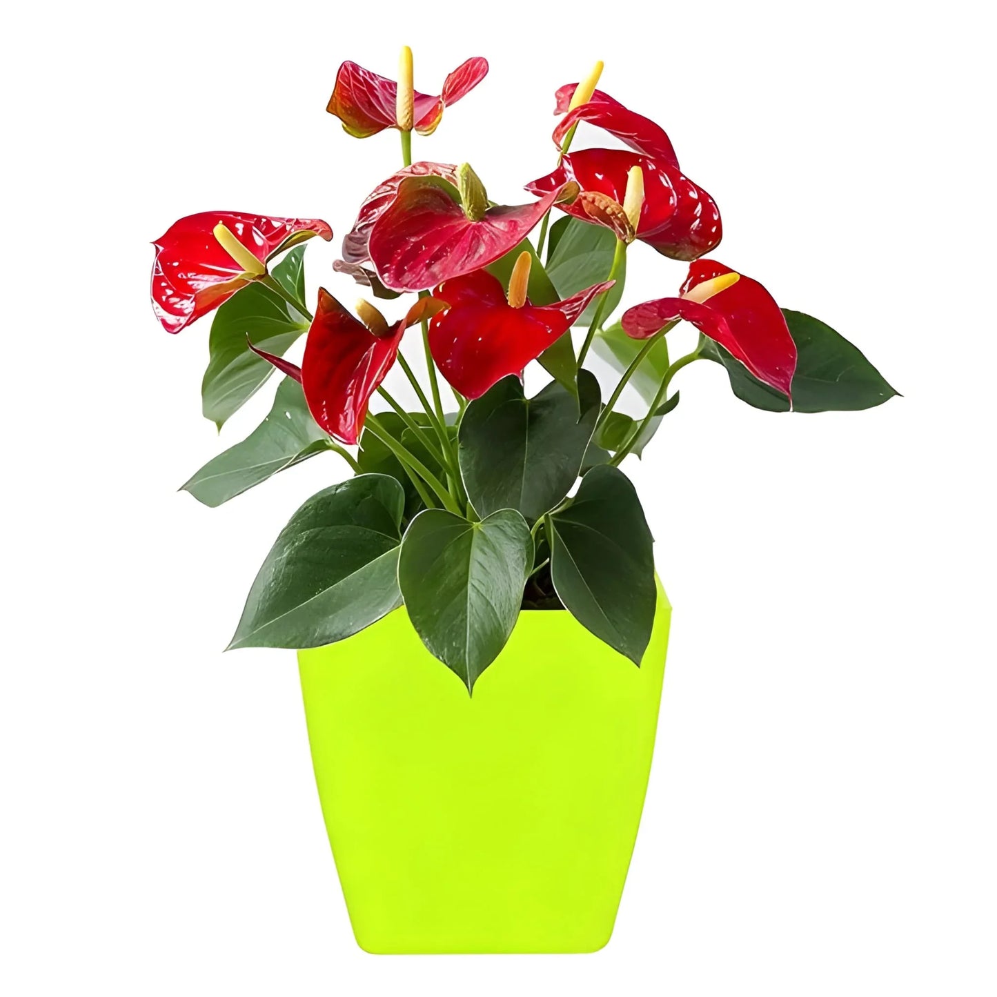 Square flower pot with red artificial flowers and green leaves
