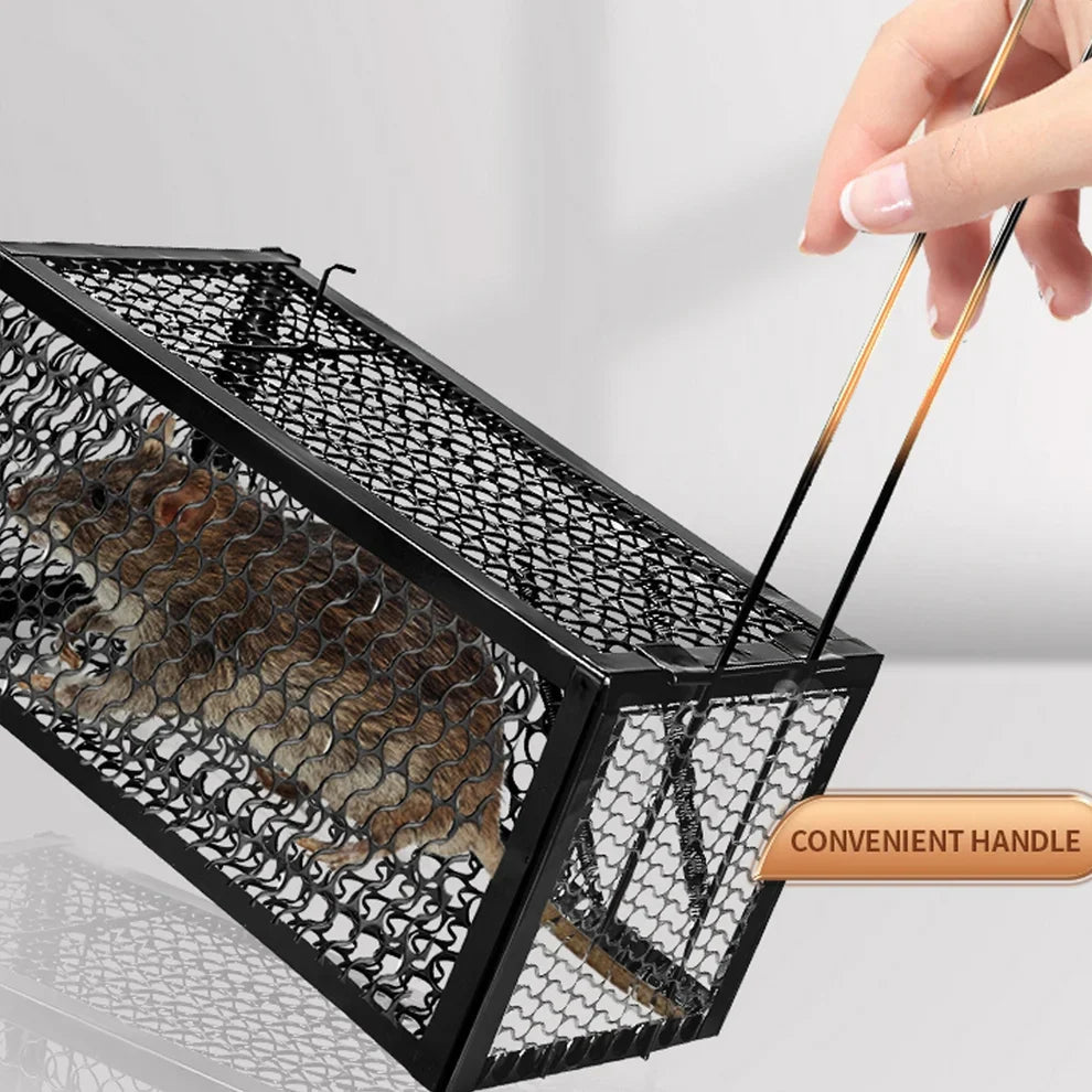 Foldable small live animal trap with black mesh and convenient handle detail