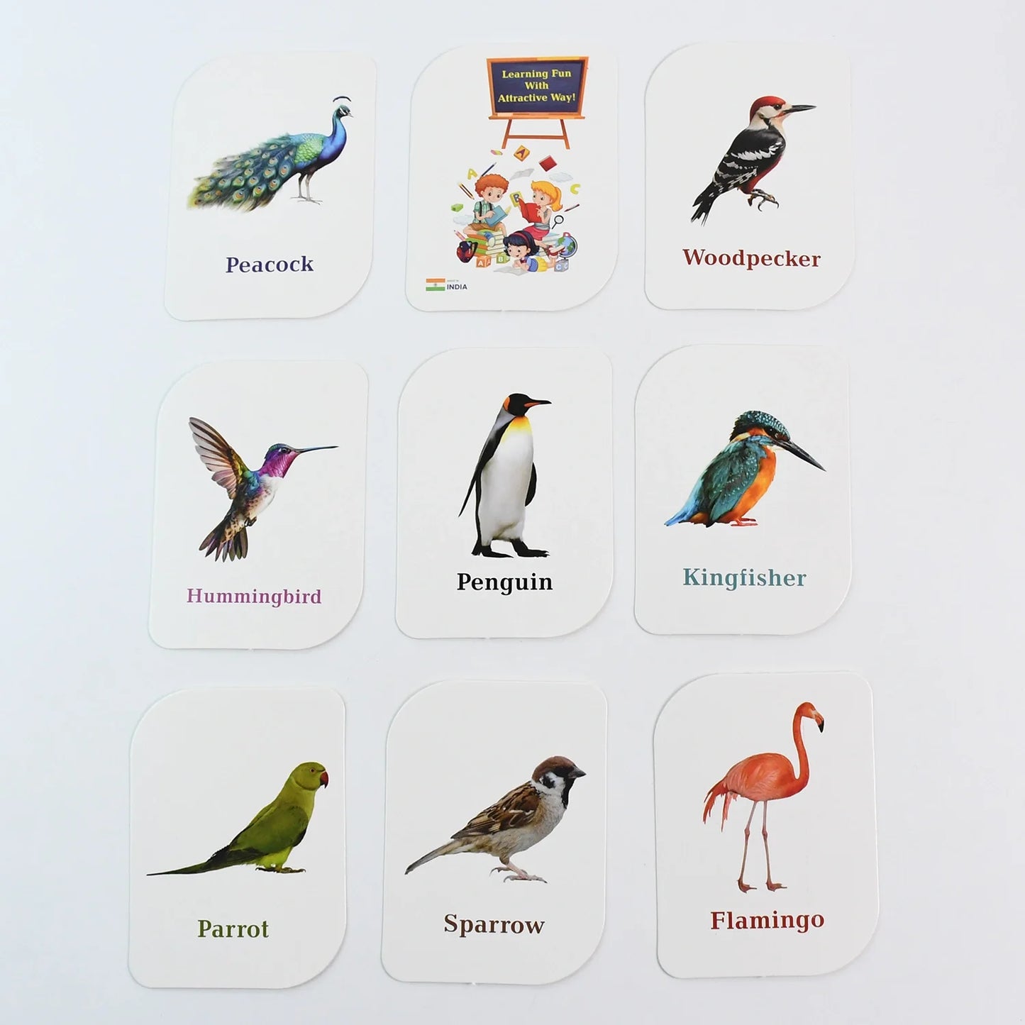 Bird flashcards with labeled bird illustrations: Peacock, Woodpecker, Penguin, flamingo.