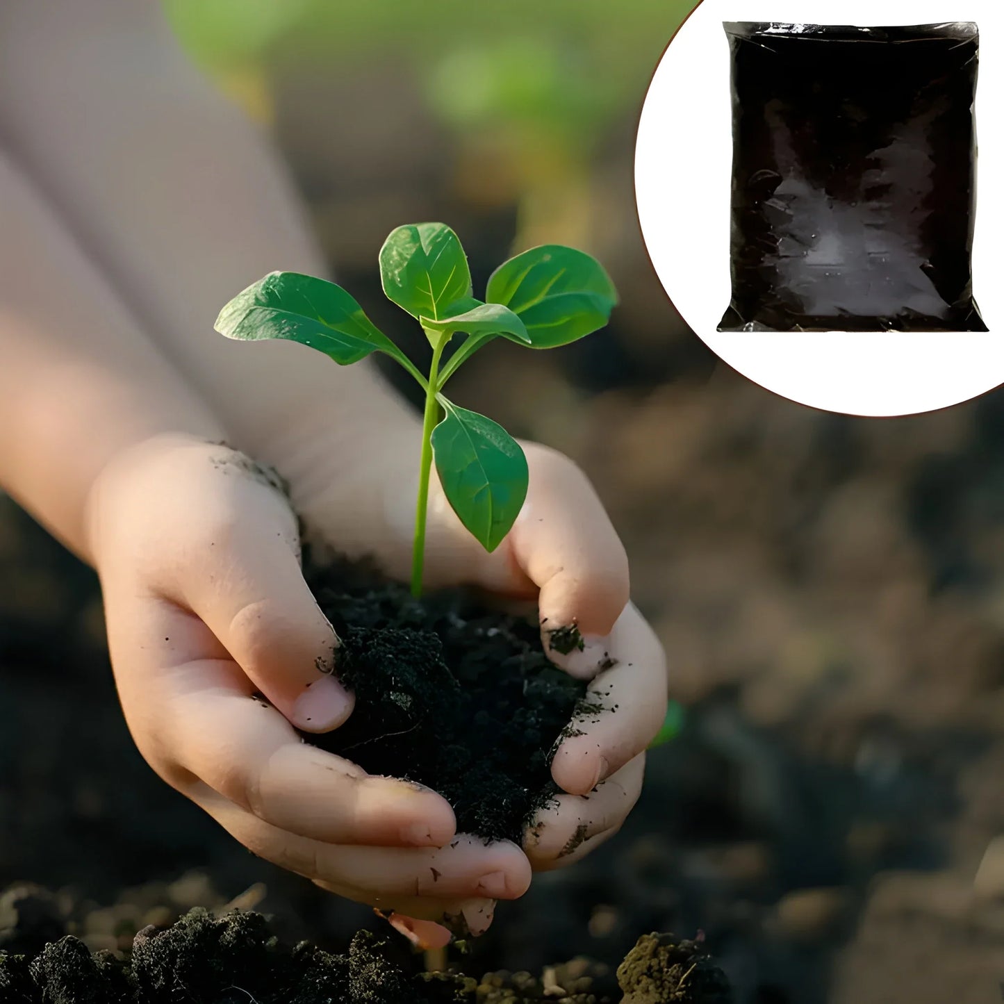 Organic vermicompost fertilizer with a small green seedling held in dark compost
