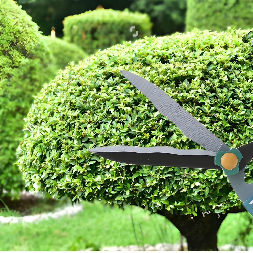 Garden flower cutter with gray blade and teal handle against green hedge