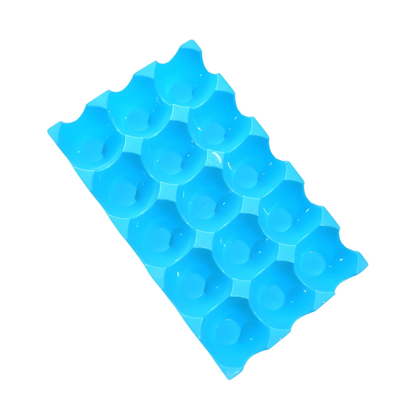 Blue reusable plastic egg tray with multiple individual egg cups