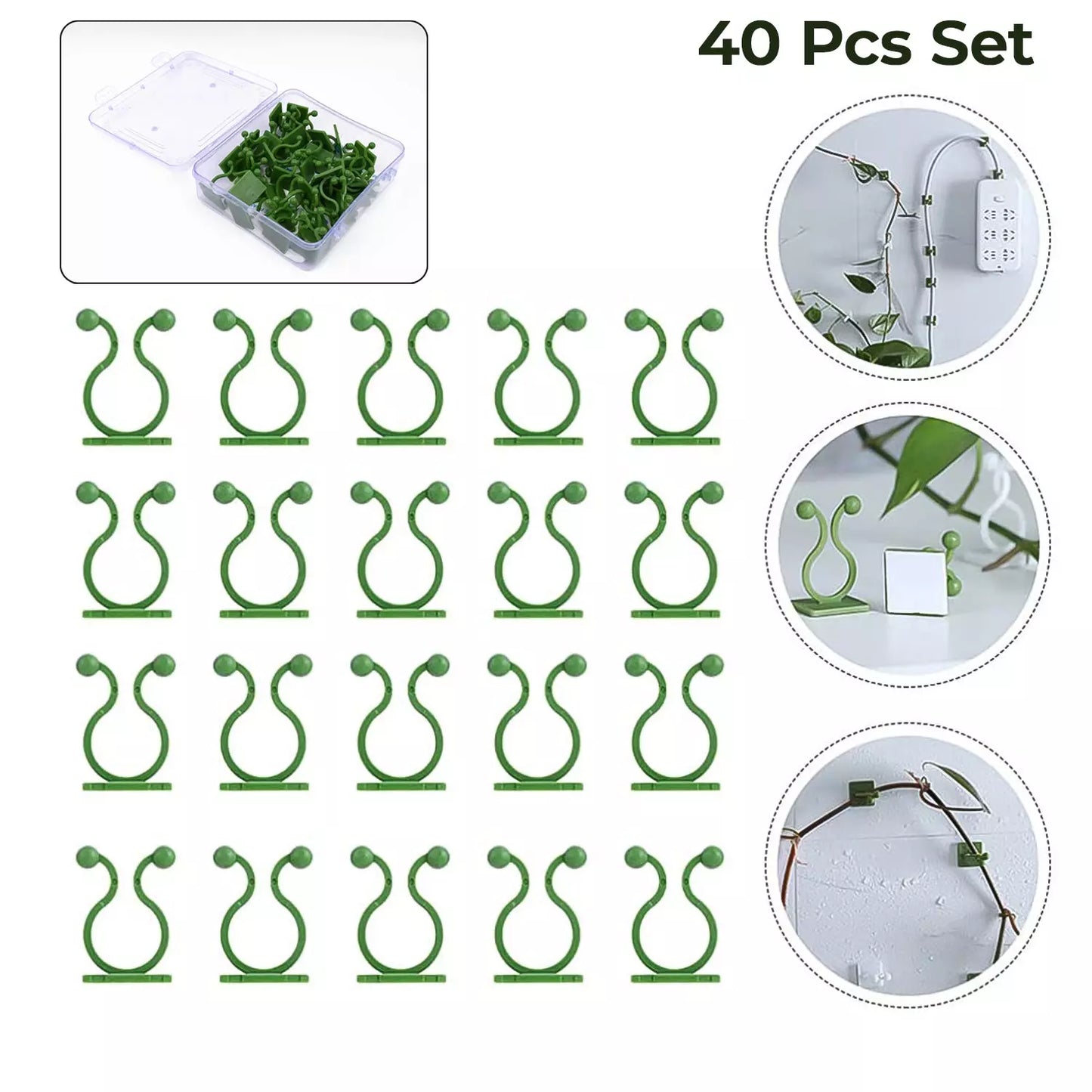 Best self-adhesive plant climbing wall fixture clips - supports | 2025 | fast shipping