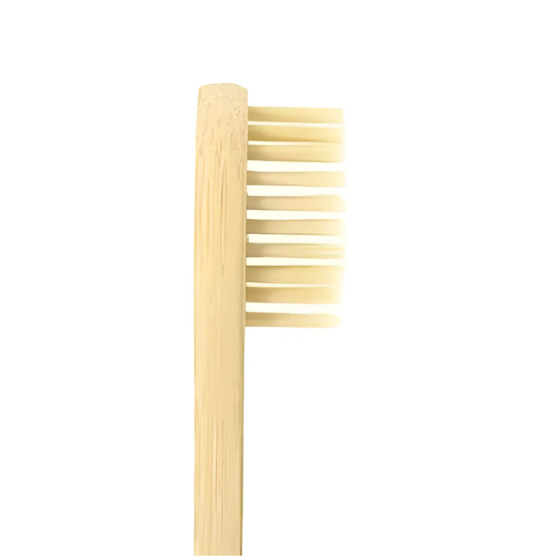 Bamboo toothbrush with light bristle head and straight wooden handle