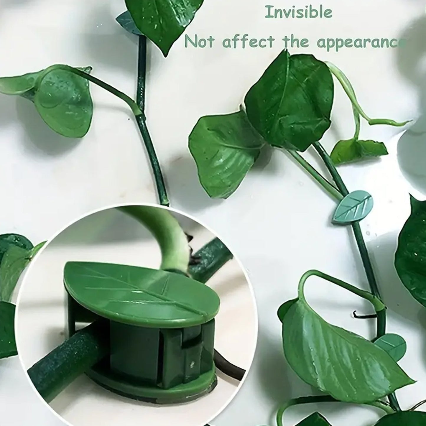 Invisible Plant Support Clips