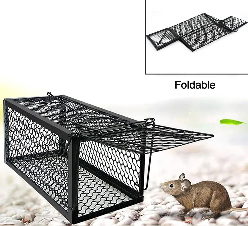 Foldable small live animal trap