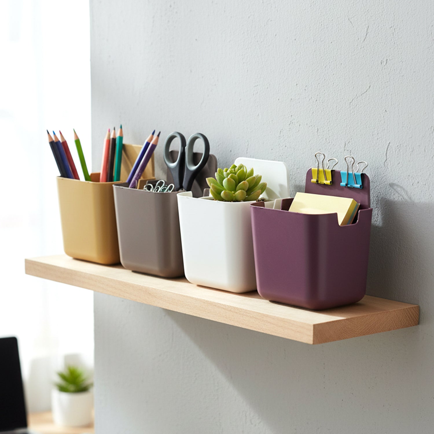 Plastic Wall Mounted Holder (Pack Of 4)