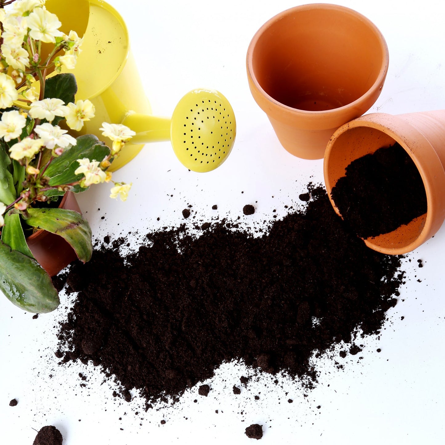 Organic Vermicompost Fertilizer