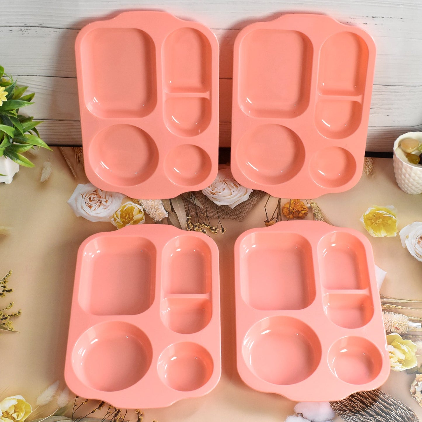 Unbreakable Food Compartment Plates