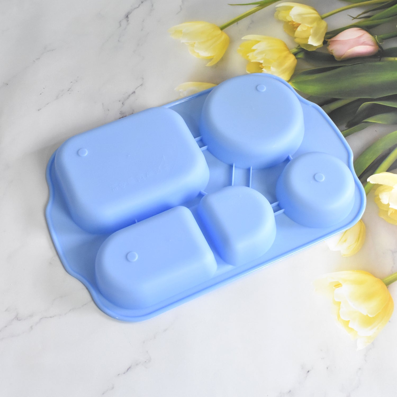 Unbreakable Food Compartment Plates