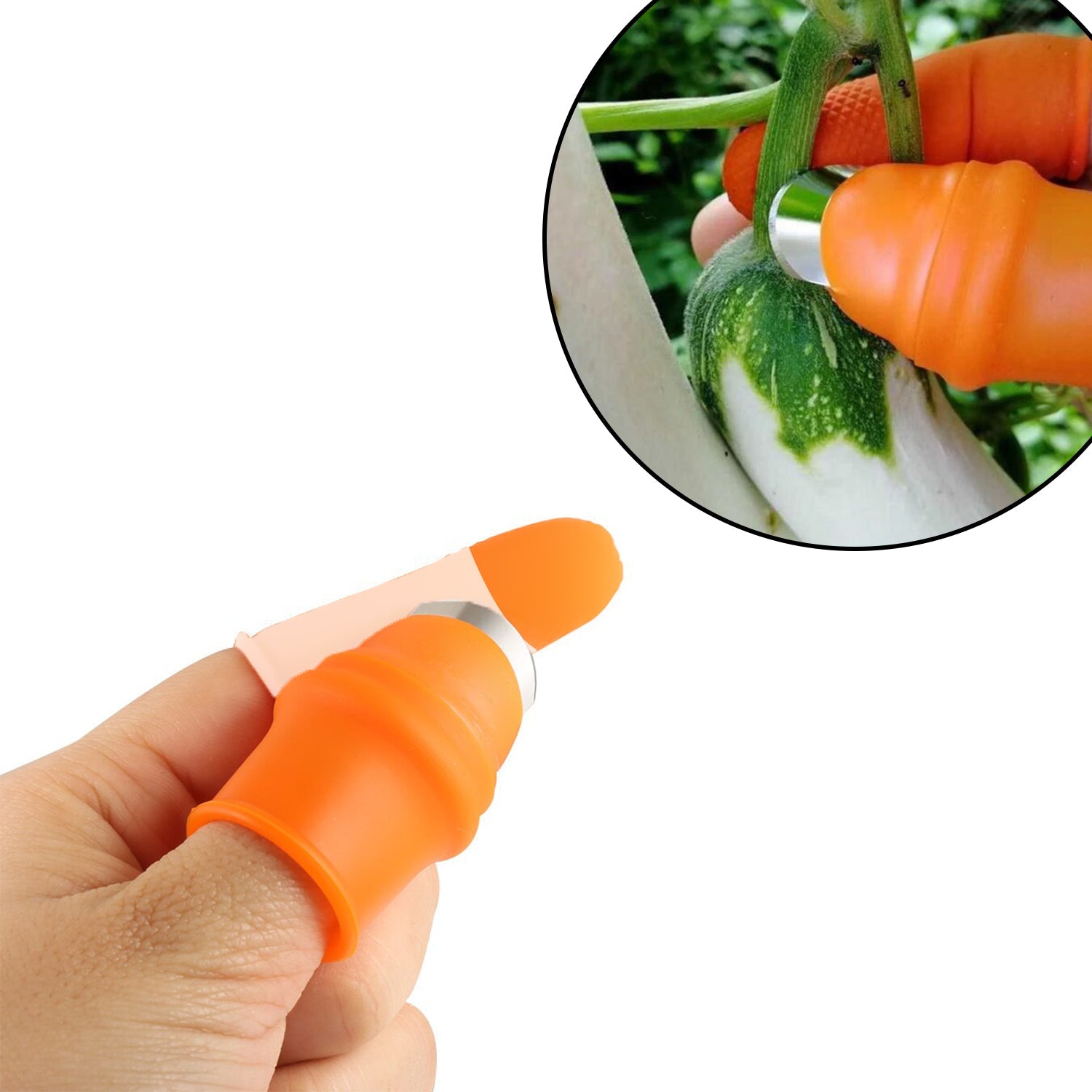 5-Piece Vegetable Thumb Cutter