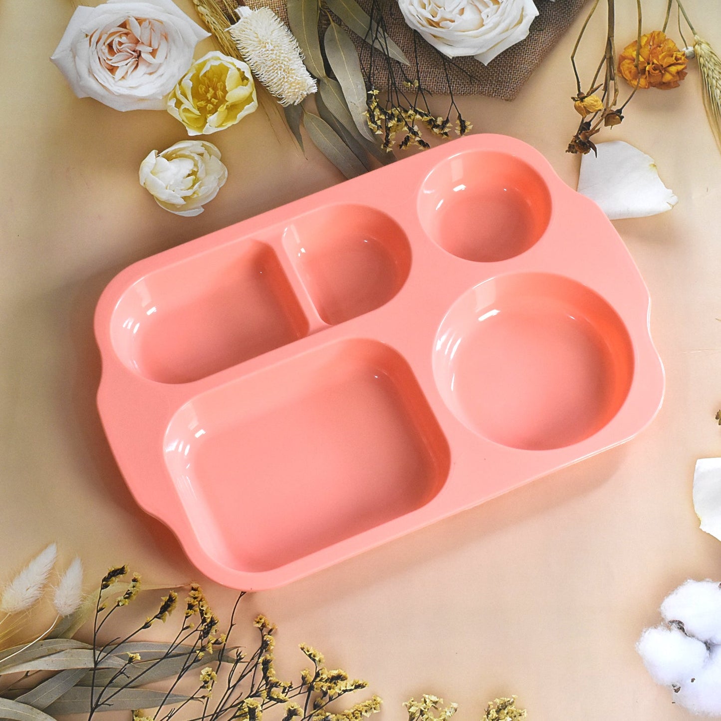 Unbreakable Food Compartment Plates