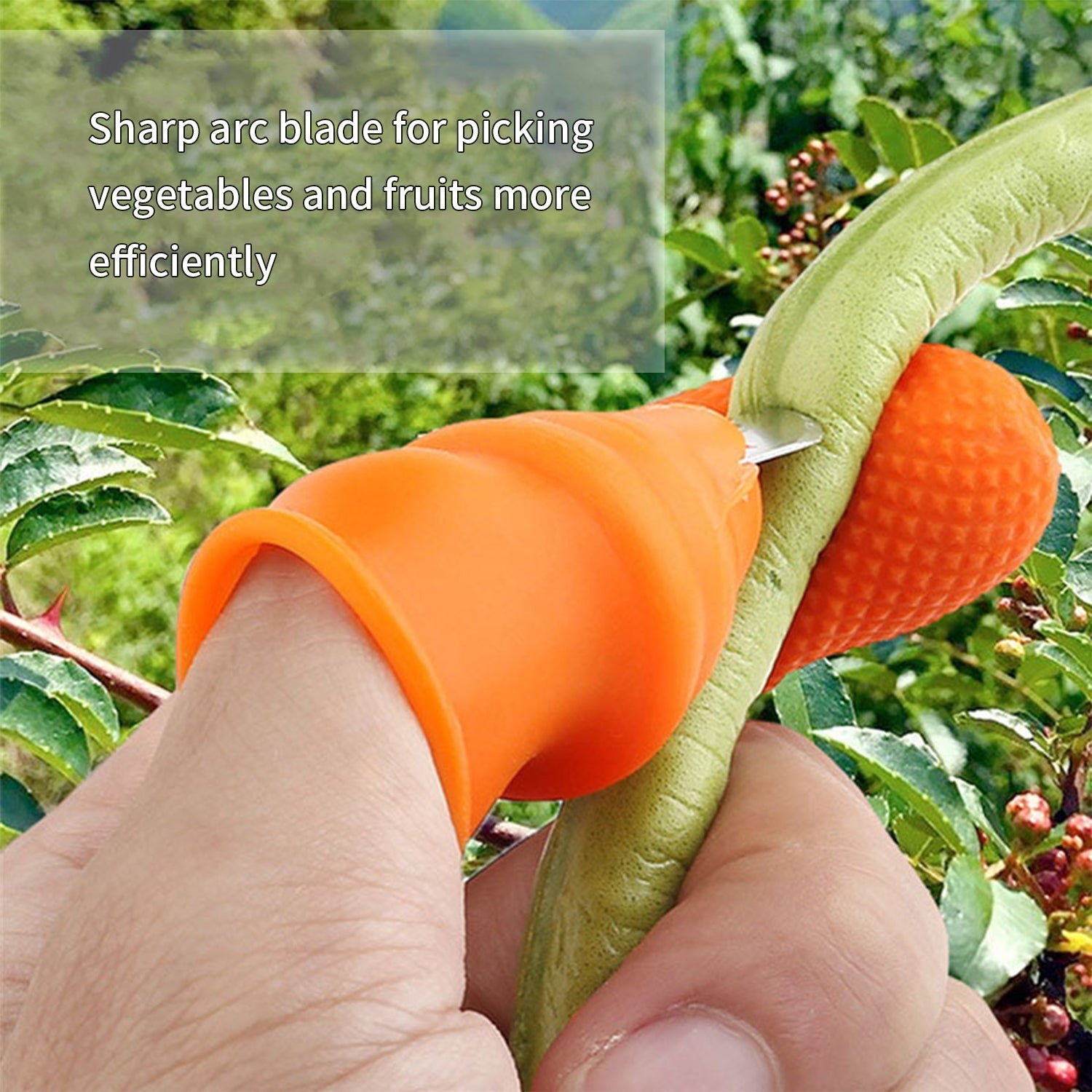 5-Piece Vegetable Thumb Cutter