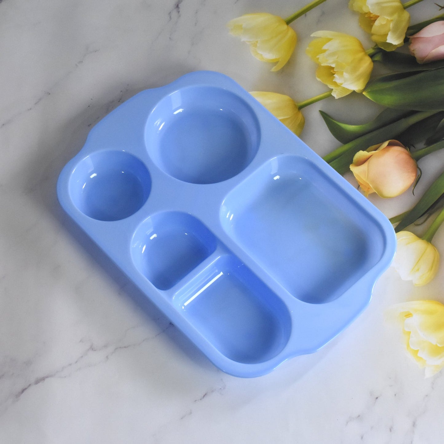 Unbreakable Food Compartment Plates