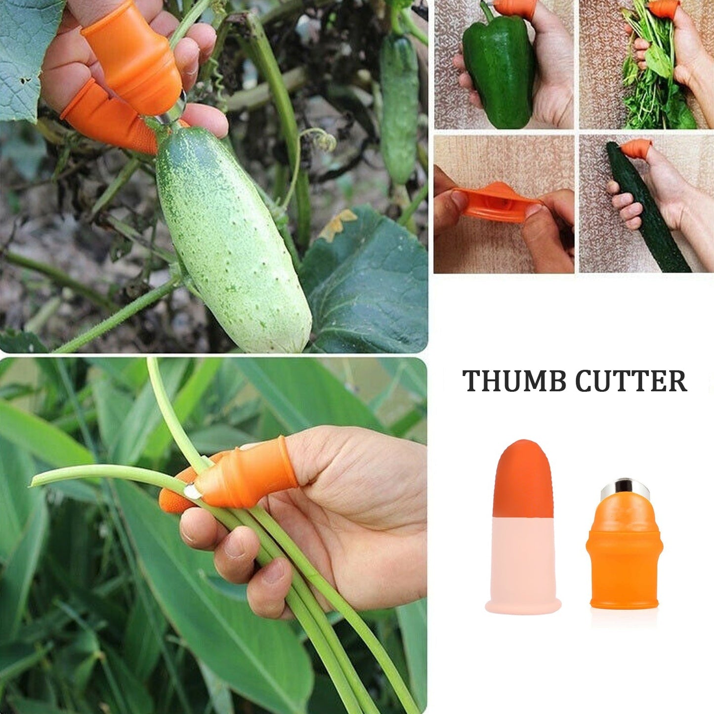 5-Piece Vegetable Thumb Cutter