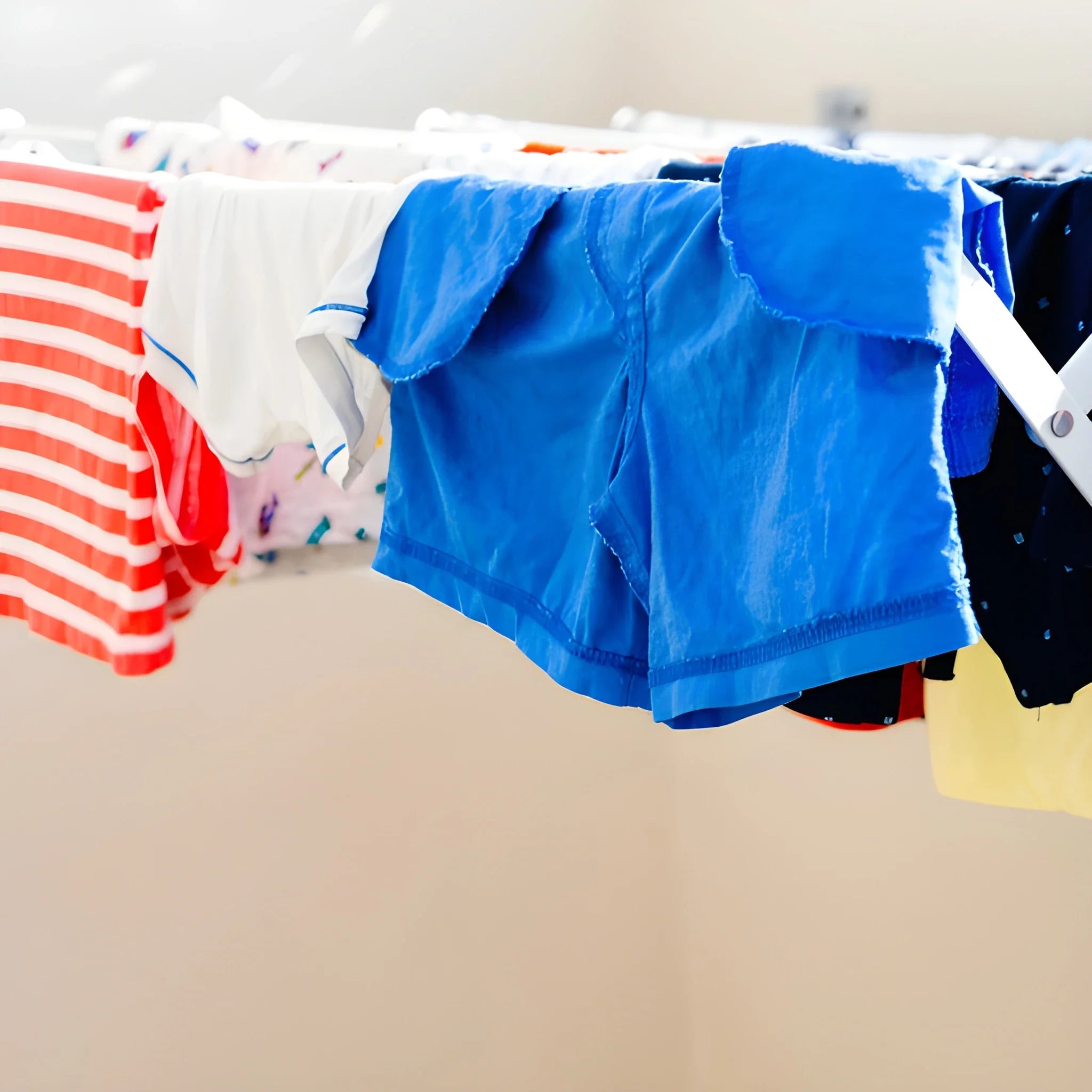 10M PVC-Coated Clothesline - Garden & Outdoors