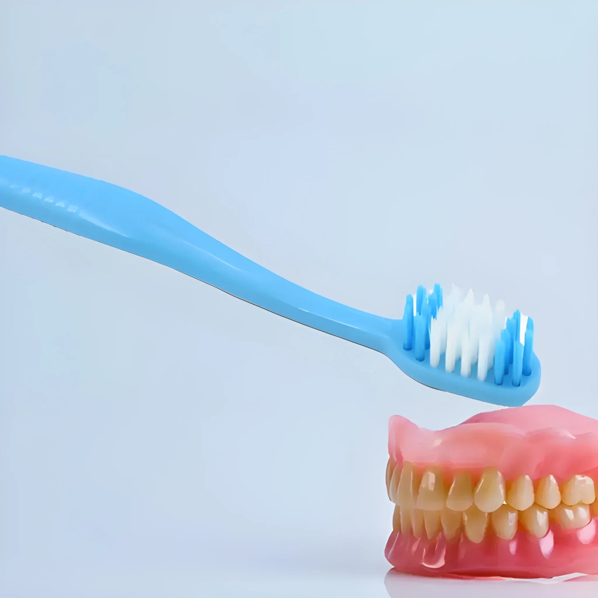 2-in-1 Toothbrush with Case - Health Care