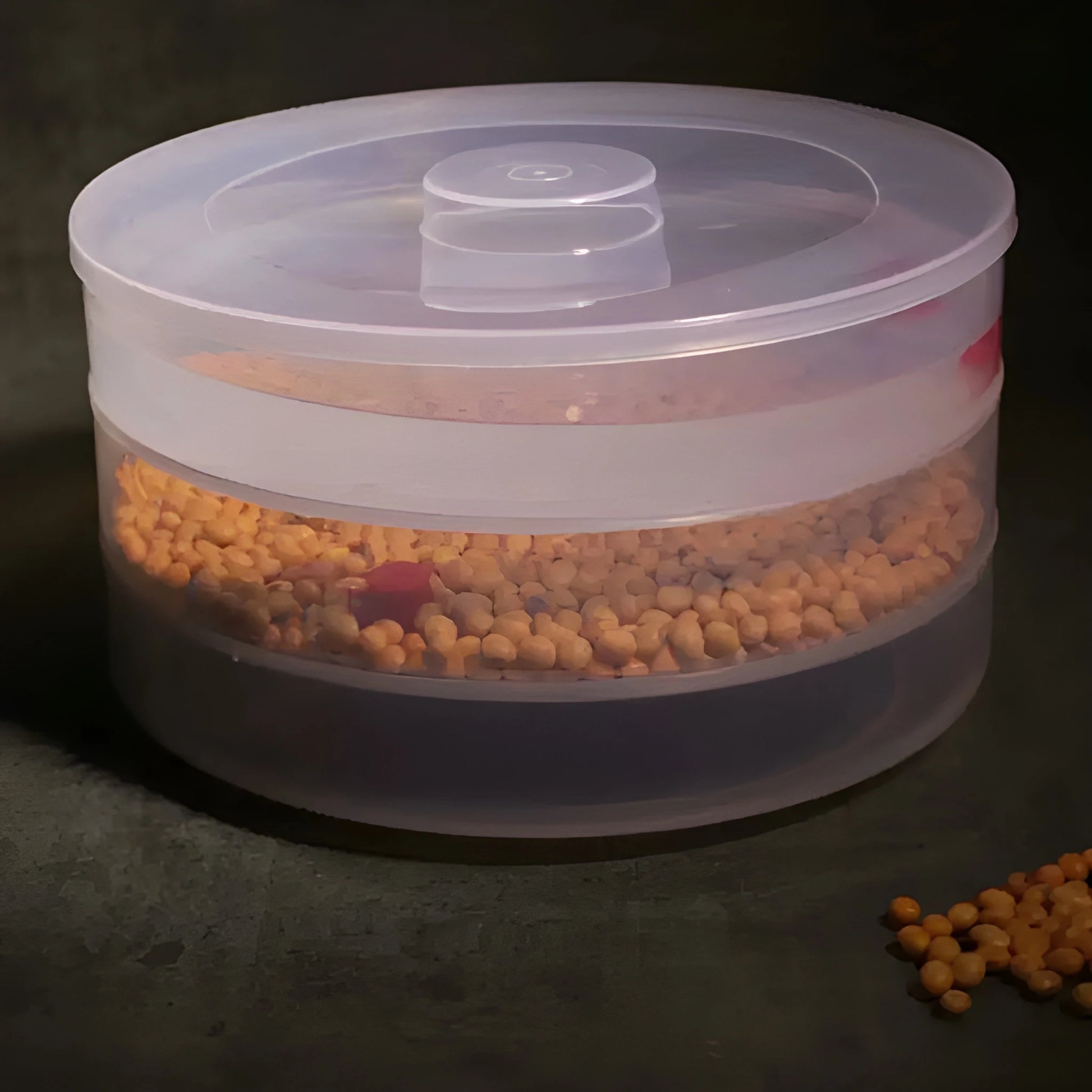 Best 3-tray indoor sprout maker - kitchen tools & utensils | 2025 | fast shipping