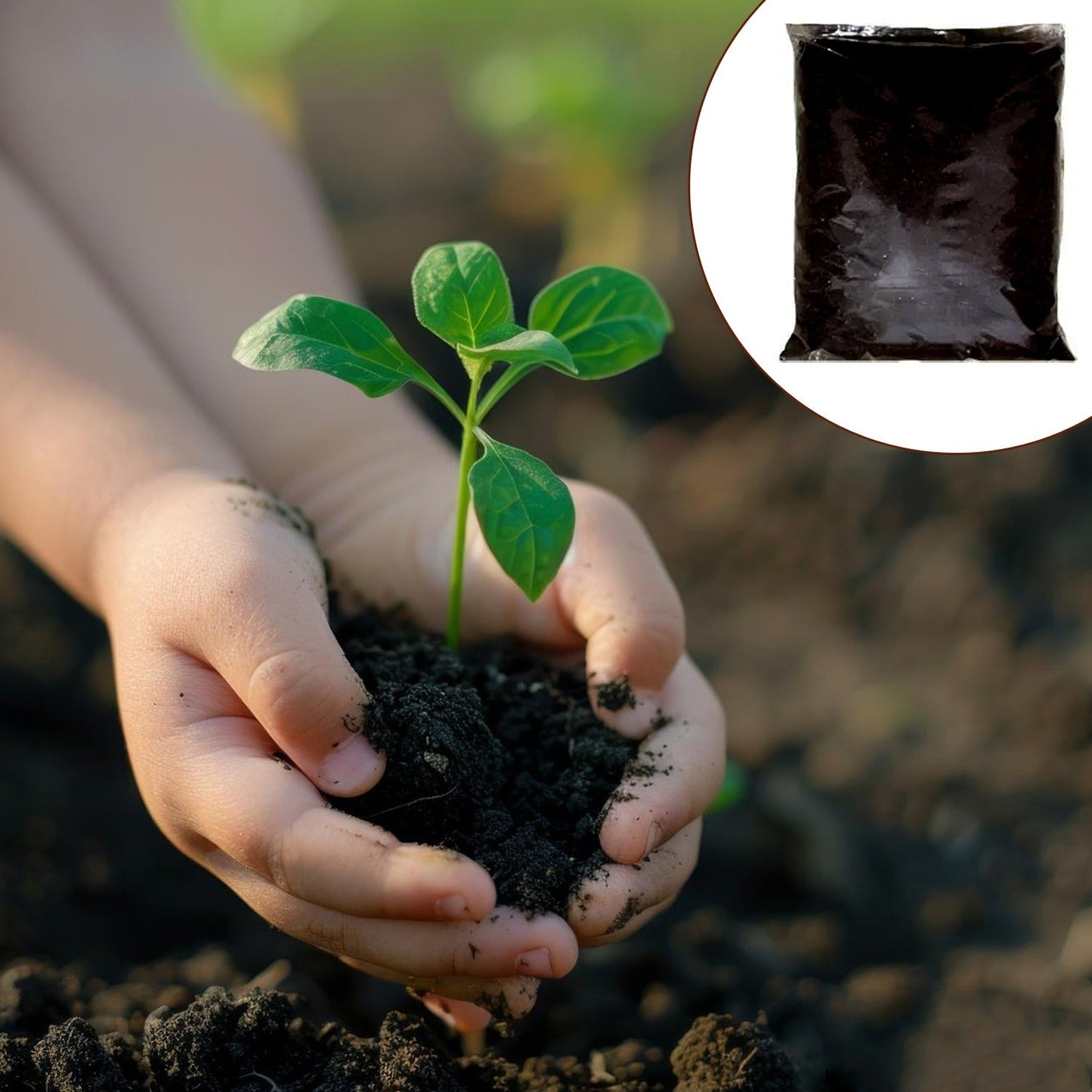 Organic Vermicompost Fertilizer
