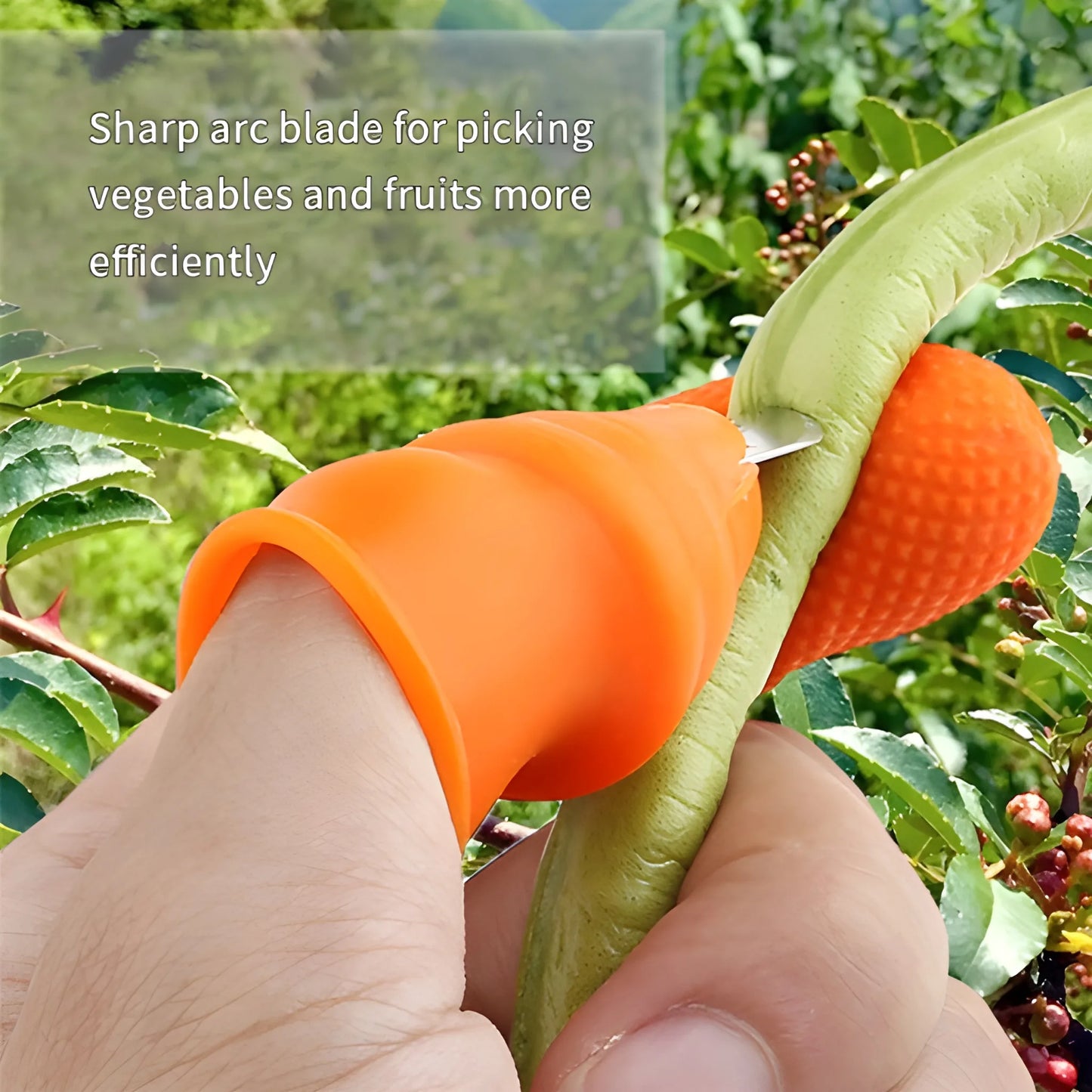 5-Piece Vegetable Thumb Cutter - Home & Kitchen