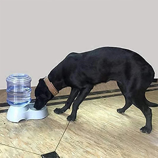 Best automatic pet water dispenser - dispensers | 2025 | fast shipping
