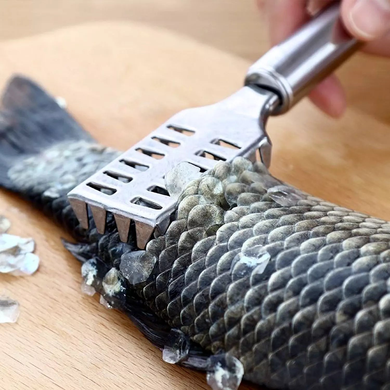 Fish scale remover scraper