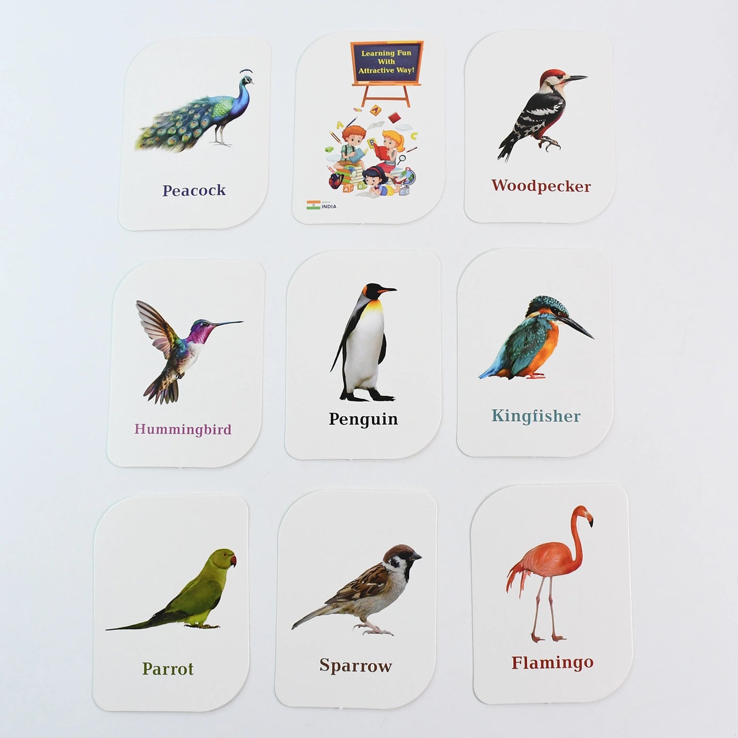 Best kidkraft birds flashcards – 32 cards - educational flash | 2025 | fast shipping
