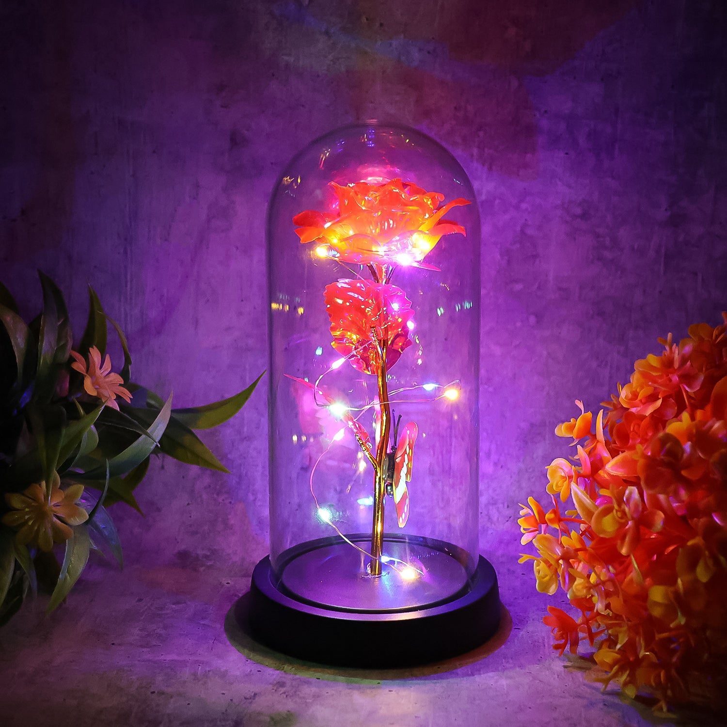 Best elegant led eternal rose in plastic dome (1 pc battery not included) - 2025 | fast shipping