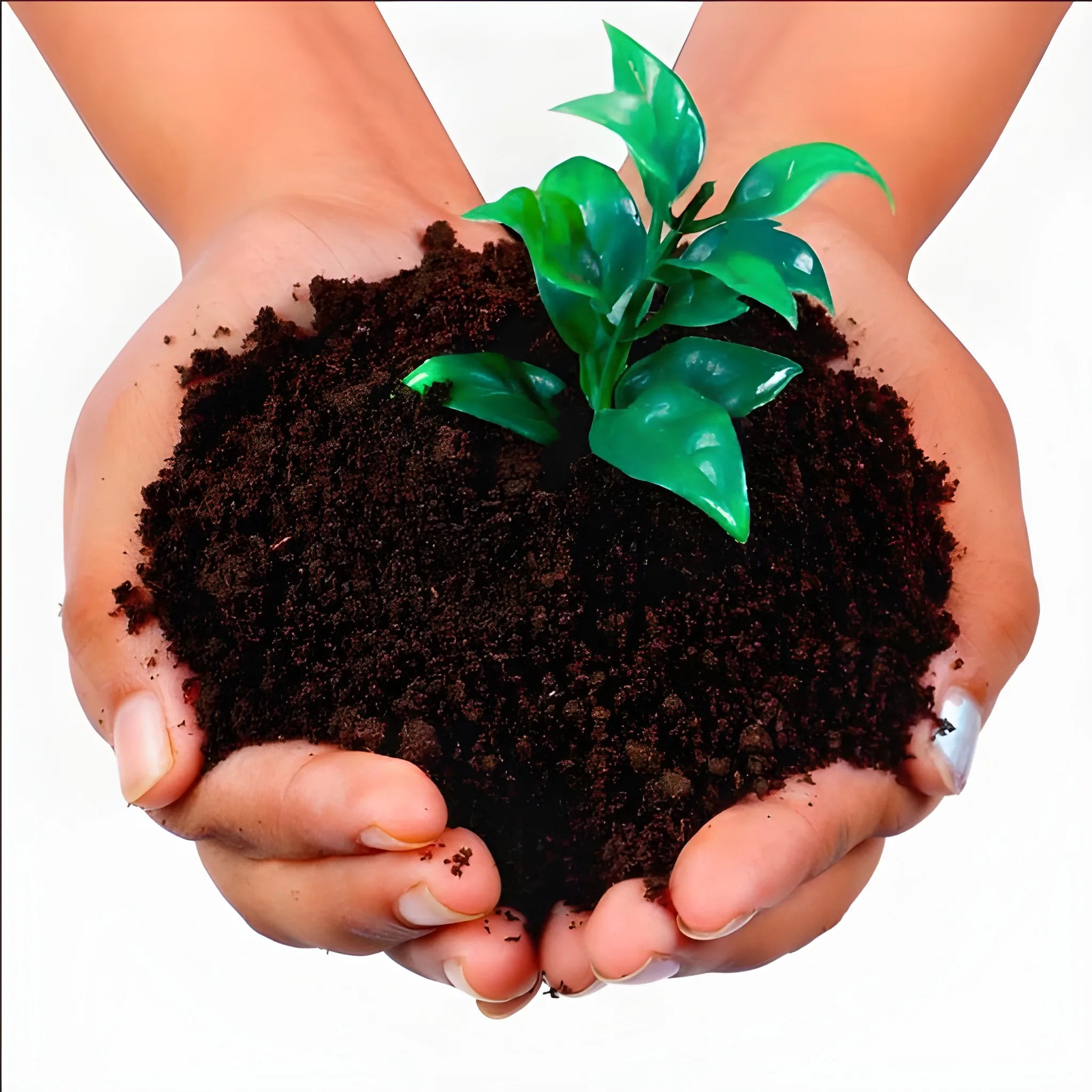 Organic vermicompost fertilizer