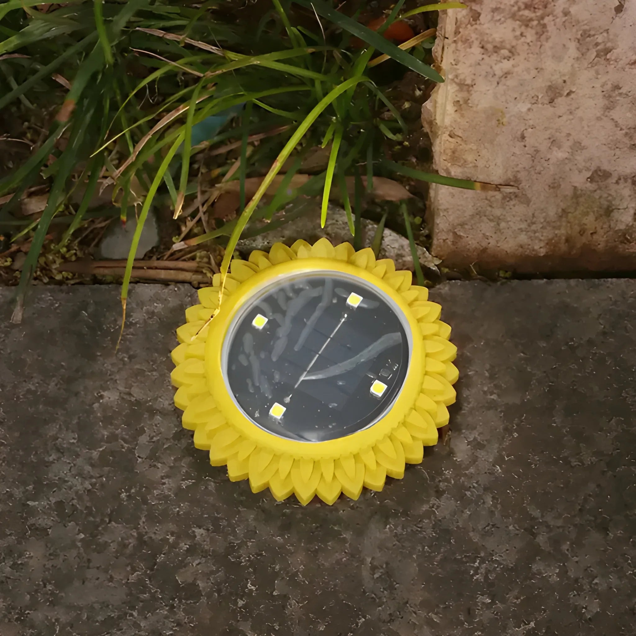 Solar ground lights 4-pack