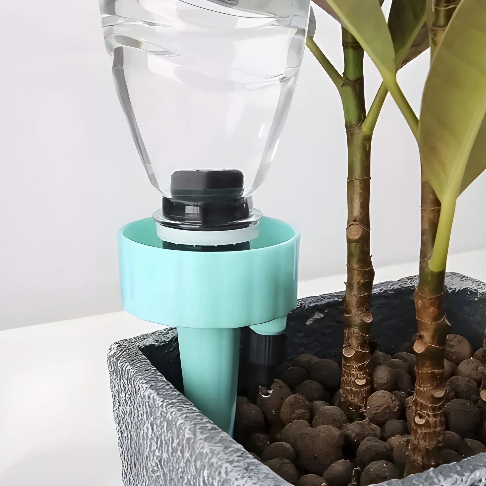 Best auto plant watering spikes - cans | 2025 | fast shipping