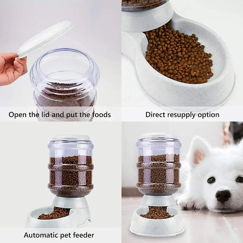 Best automatic pet food dispenser - feeders | 2025 | fast shipping