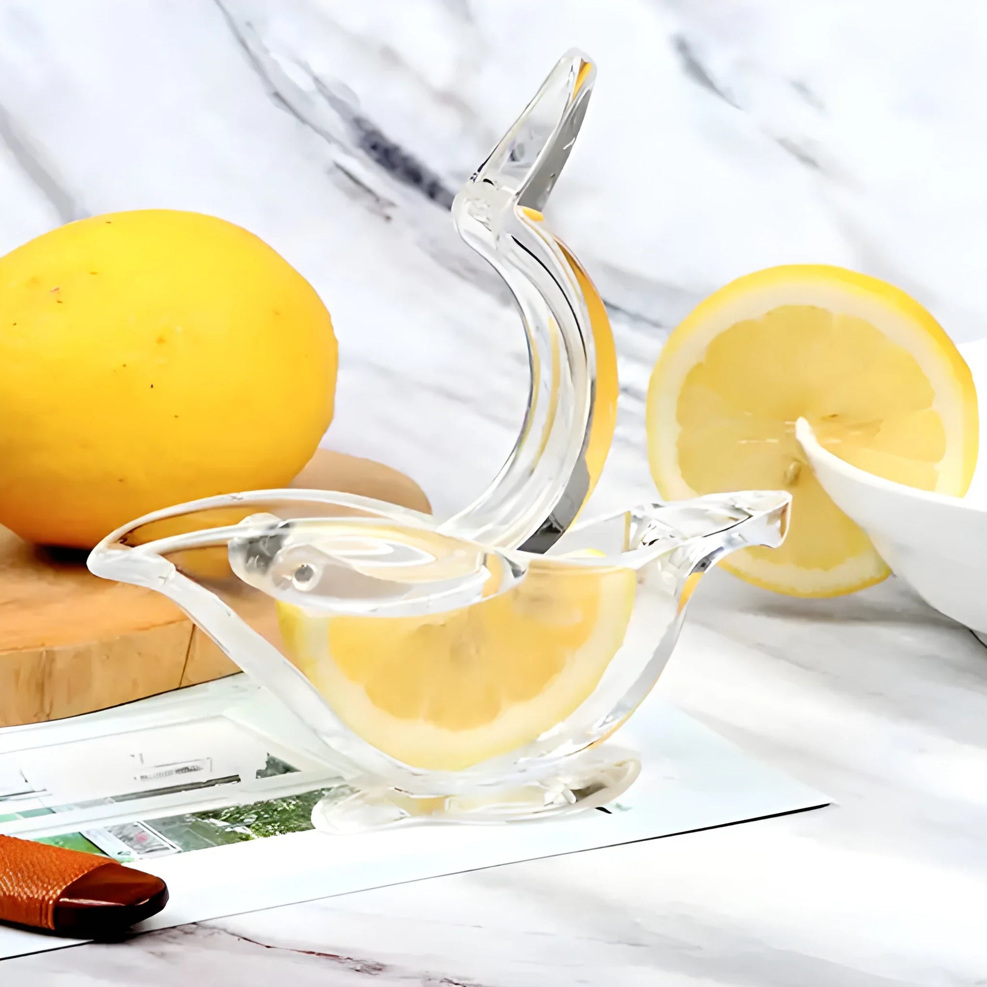 Bird-Shaped Citrus Juicer - Home & Kitchen