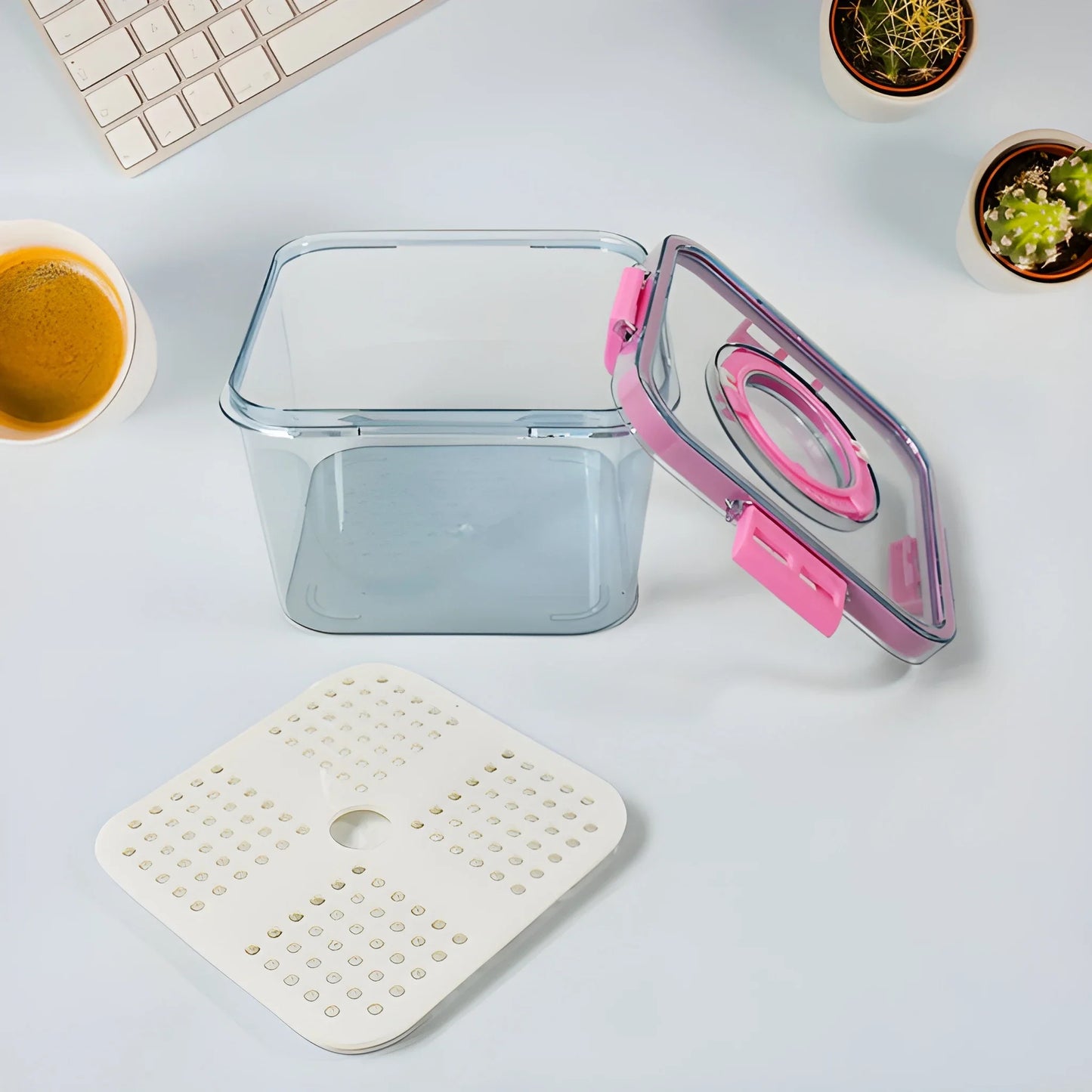 Best clear airtight food storage container - containers | 2025 | fast shipping