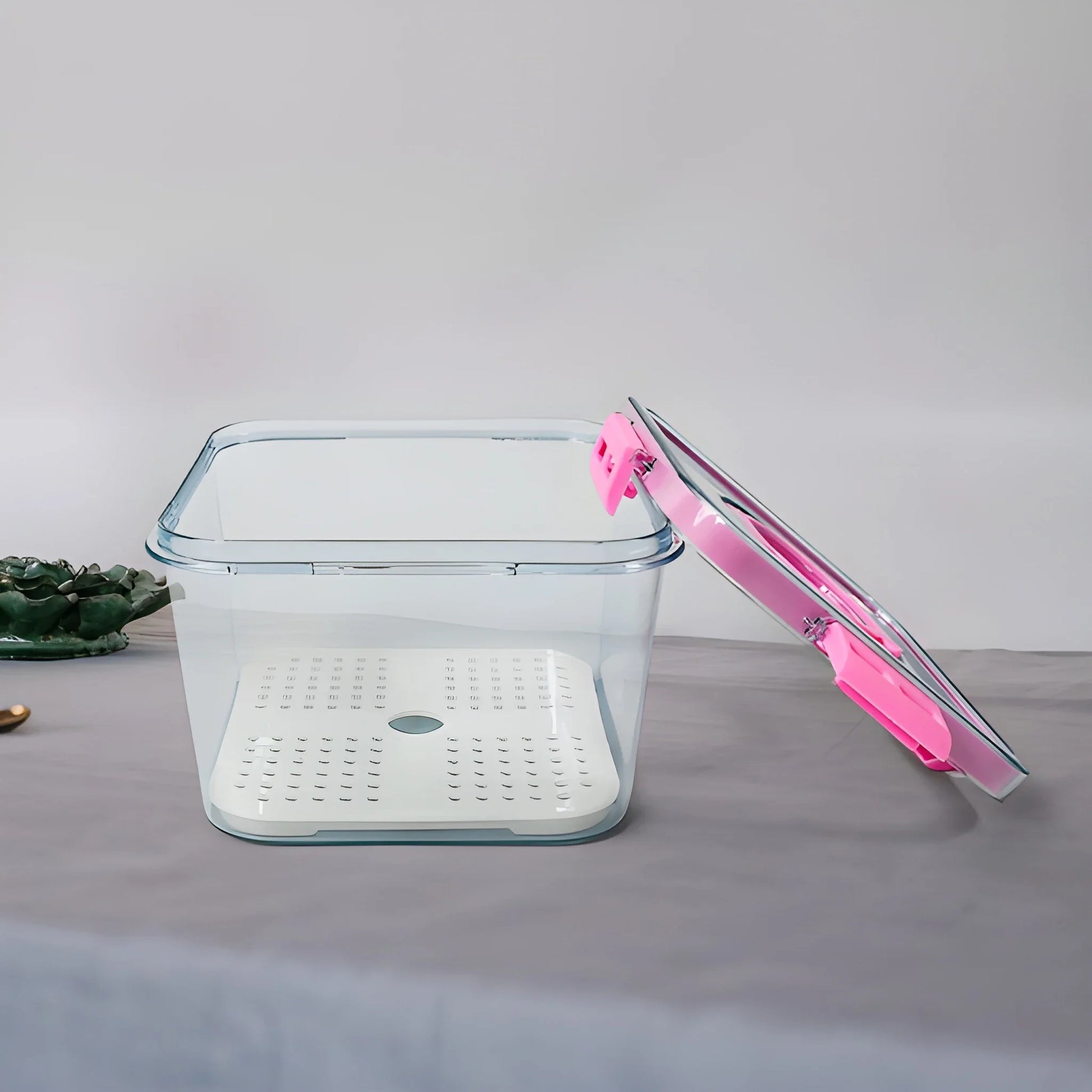 Best clear airtight food storage container - containers | 2025 | fast shipping