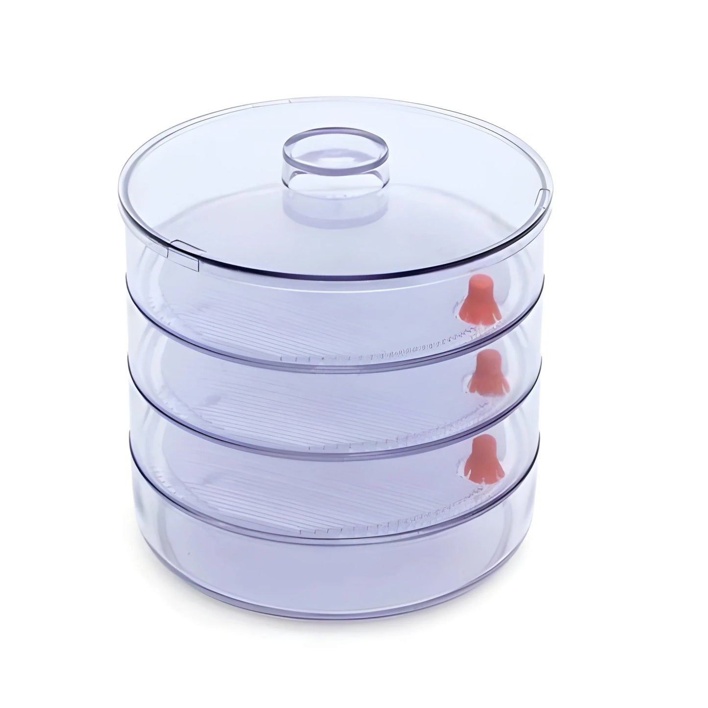 Best easy-grow sprout maker - kitchen tools & utensils | 2025 | fast shipping