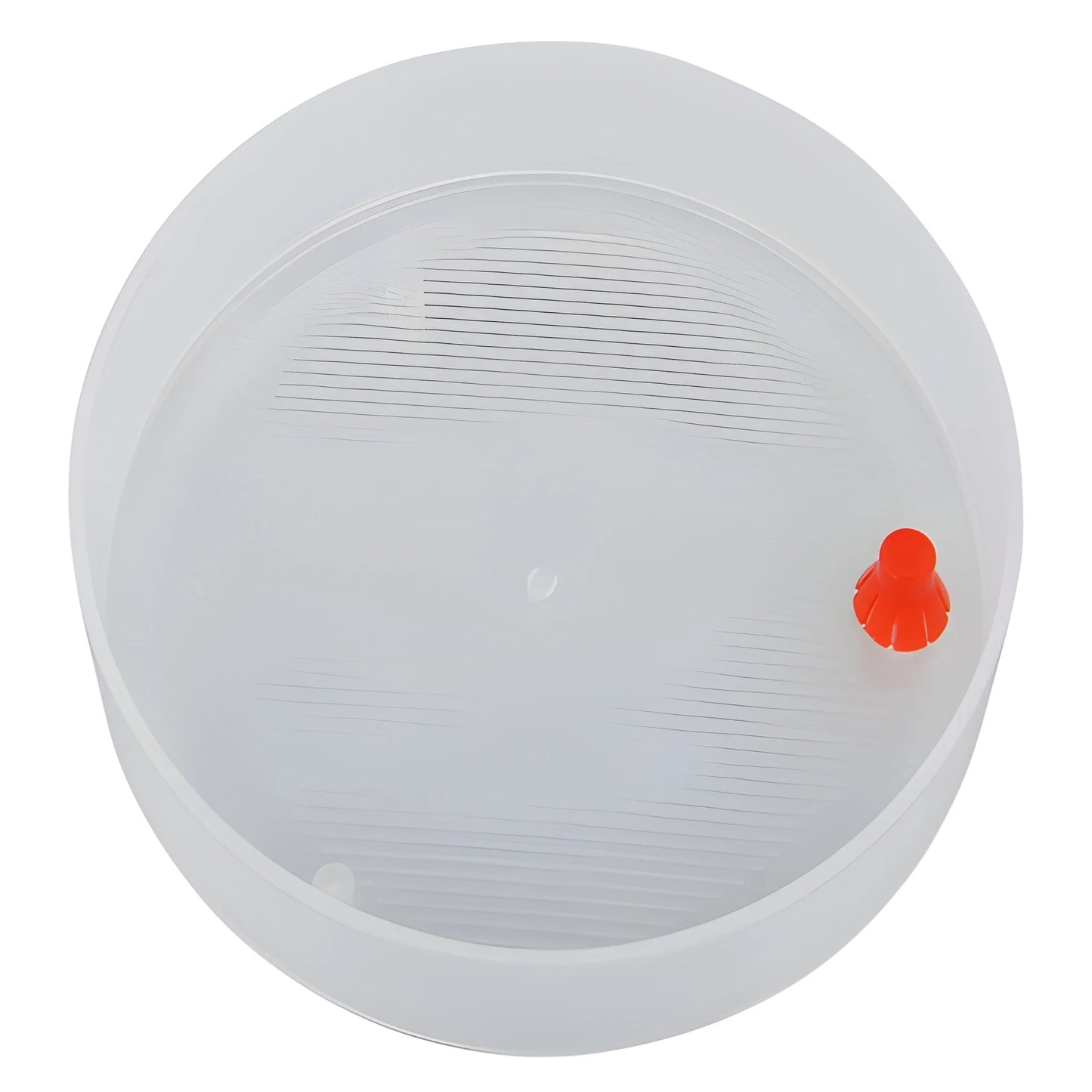 Best easy-grow sprout maker - kitchen tools & utensils | 2025 | fast shipping