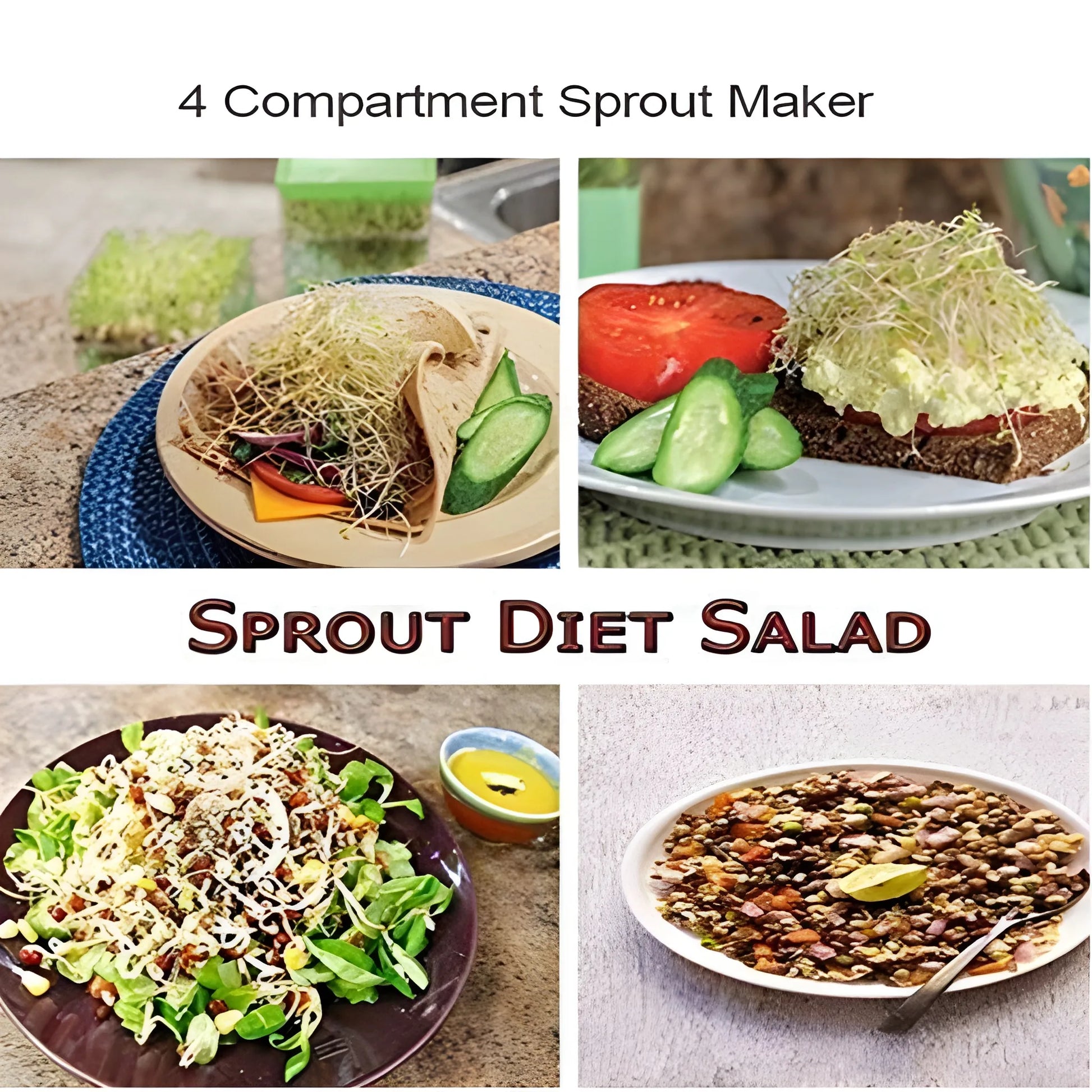 Best easy-grow sprout maker - kitchen tools & utensils | 2025 | fast shipping