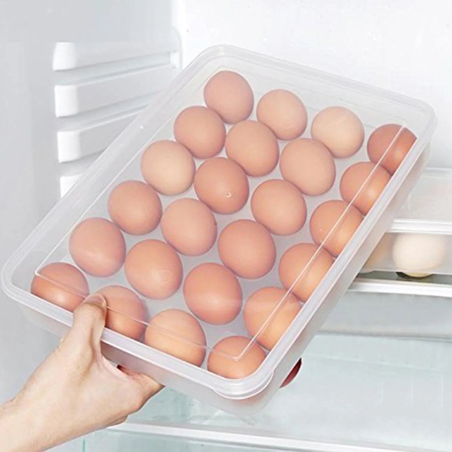 Best egg storage container – 24 eggs - food containers | 2025 | fast shipping
