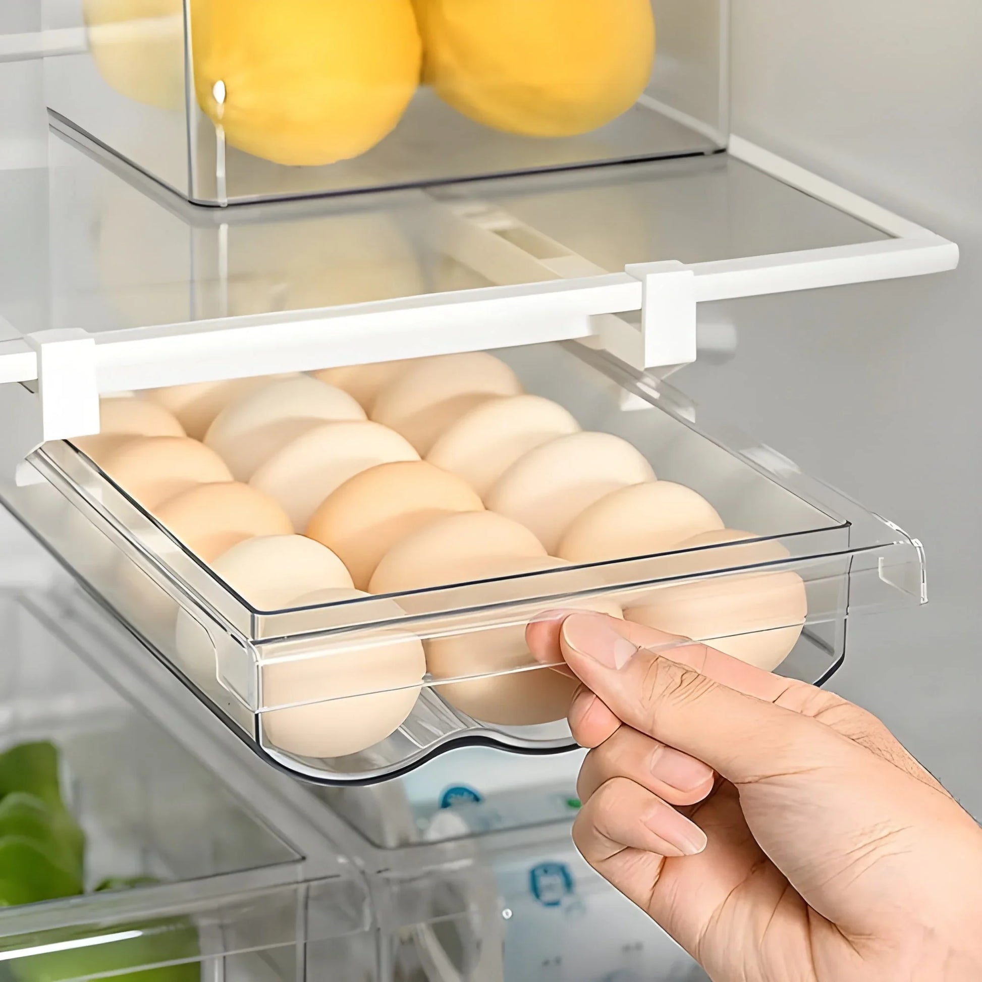 Best egg trays for refrigerator with lid - home & garden | 2025 | fast shipping
