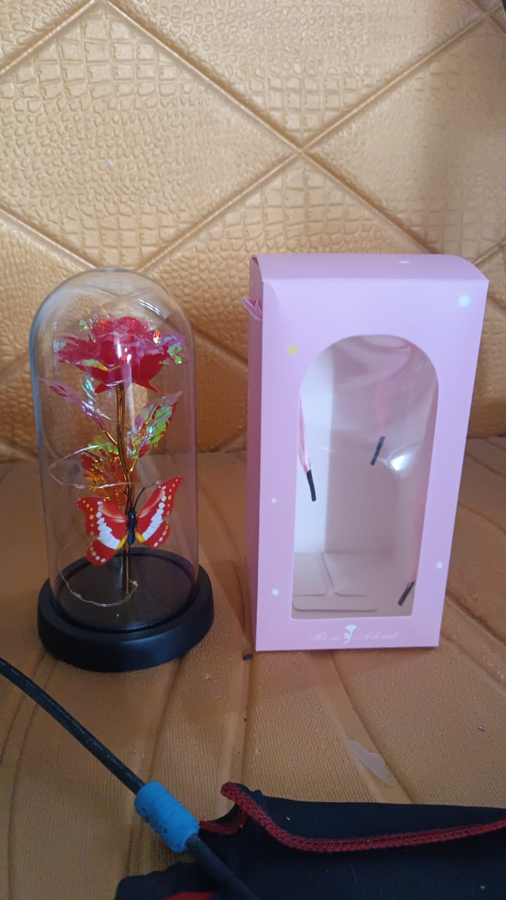 Best elegant led eternal rose in plastic dome (1 pc battery not included) - 2025 | fast shipping