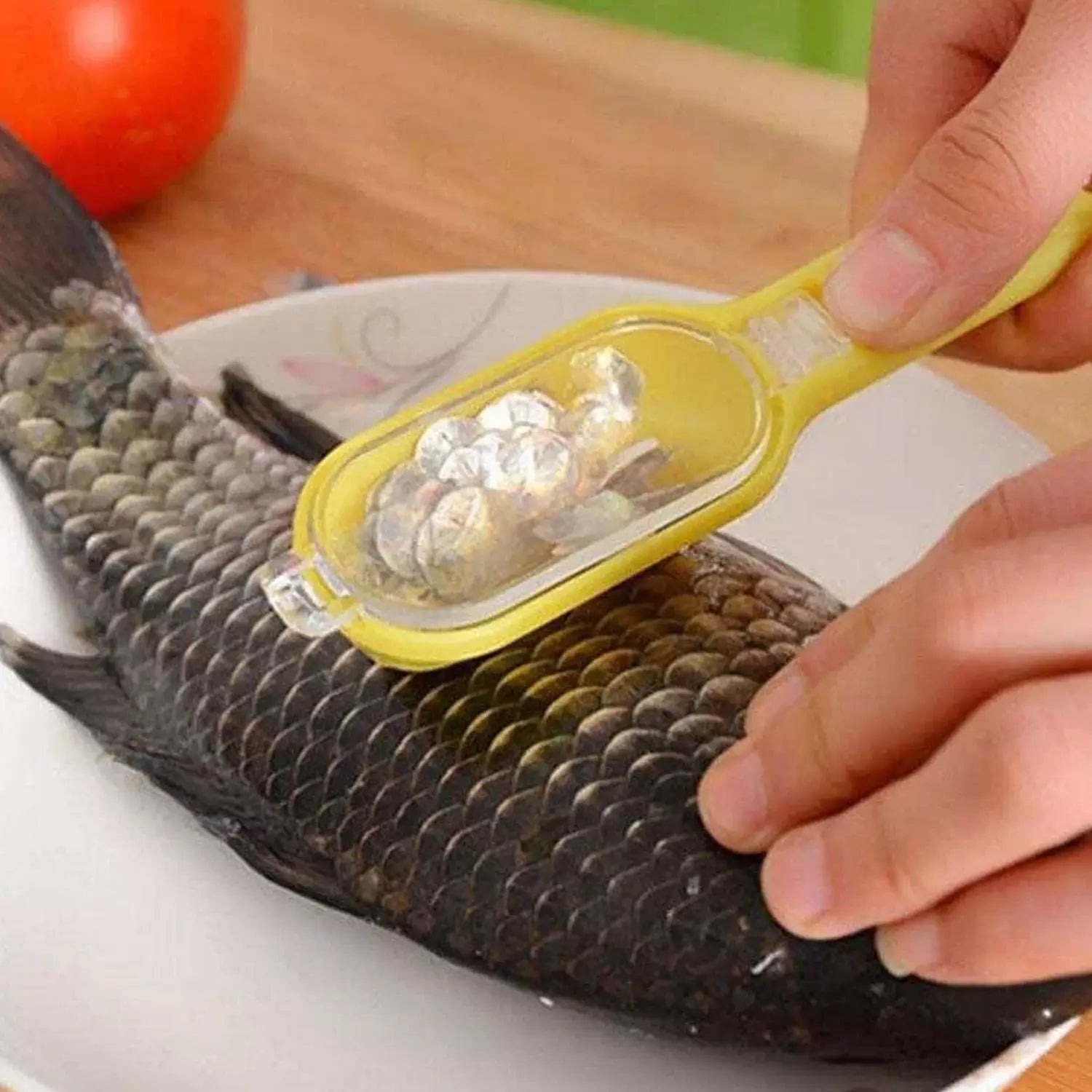 Fish Scale Scraper - Home & Kitchen