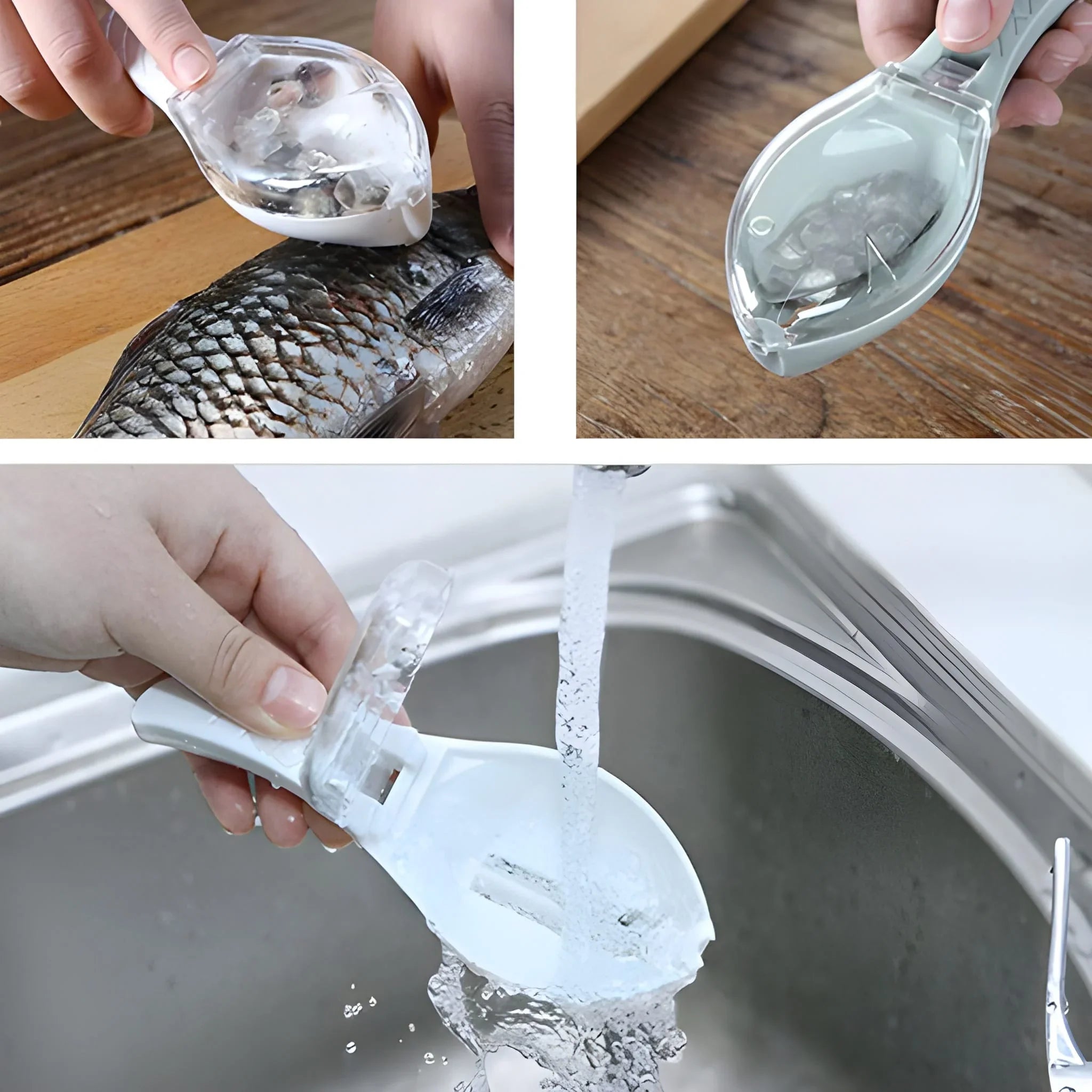 Fish Scale Scraper Peeler - Home & Kitchen