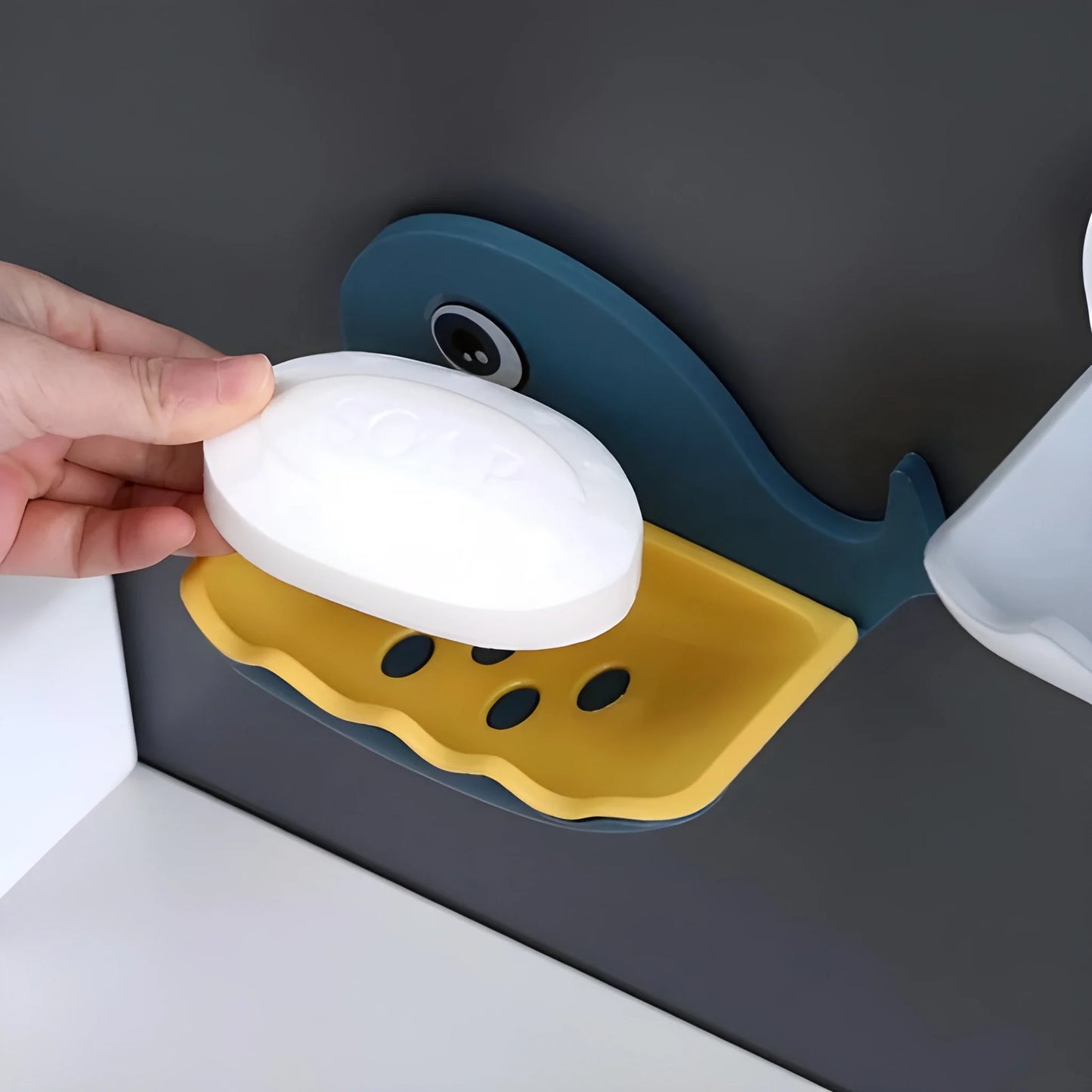 Fish Soap Holder - Home & Kitchen