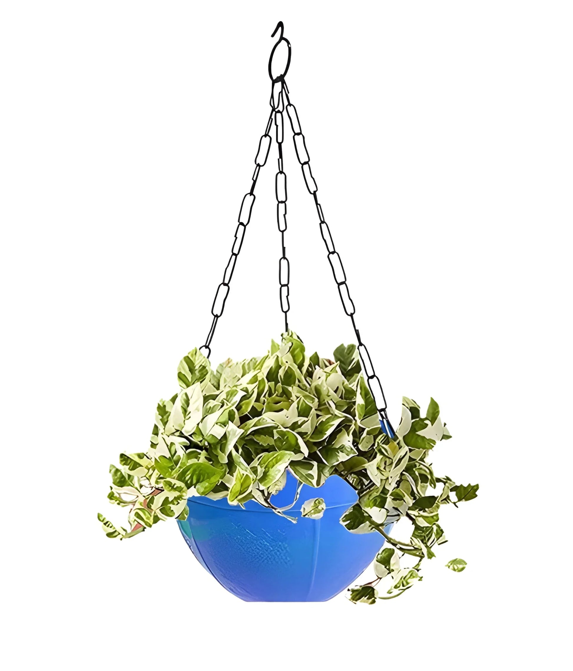 Best flower pot plant with hanging - home & garden | 2025 | fast shipping
