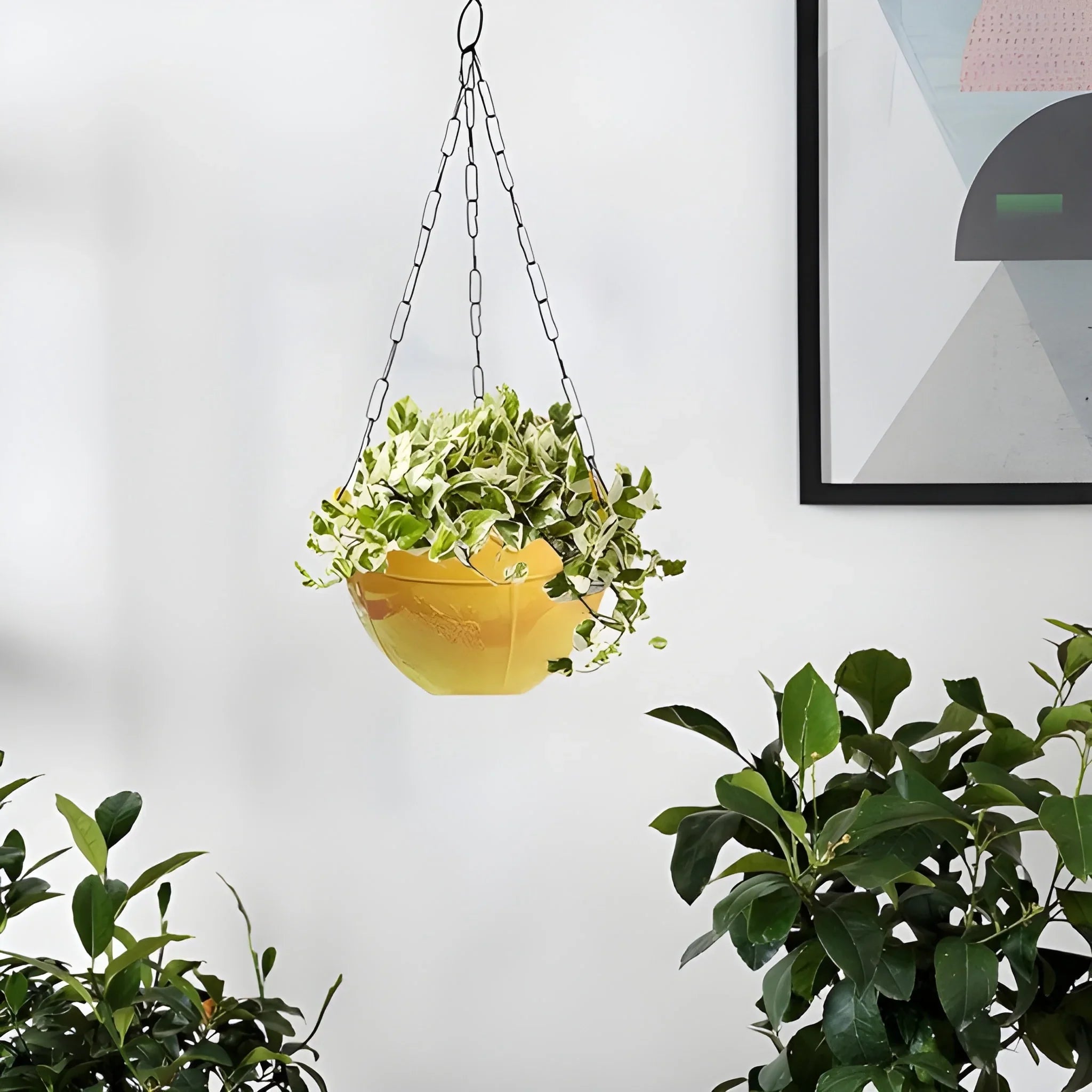 Best flower pot plant with hanging - home & garden | 2025 | fast shipping