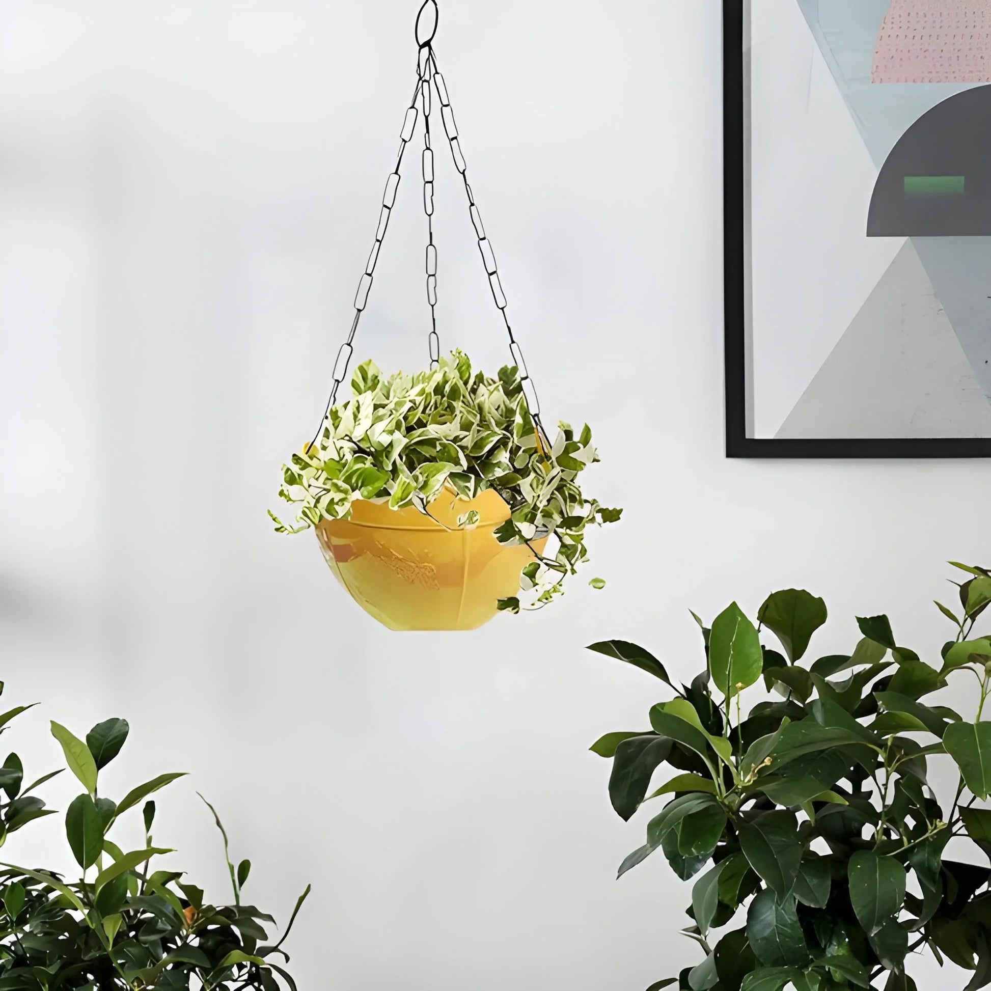 Best flower pot plant with hanging - home & garden | 2025 | fast shipping